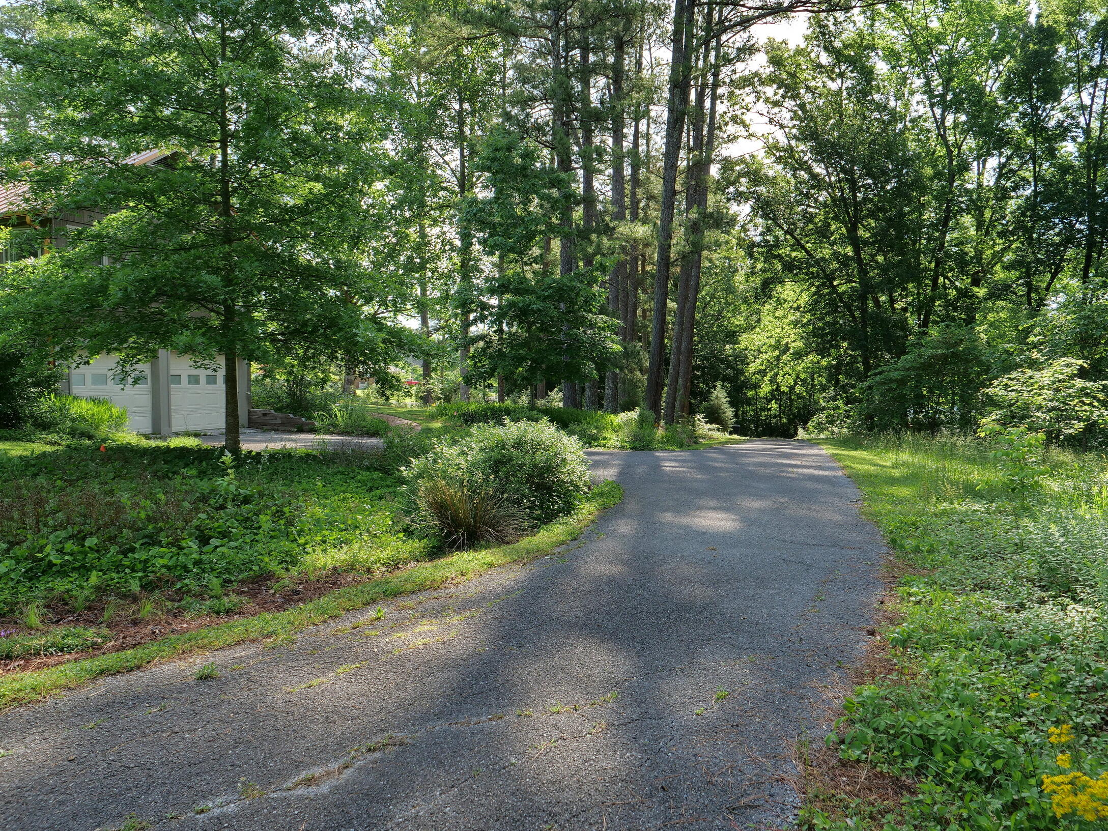 364 John Thompson Road