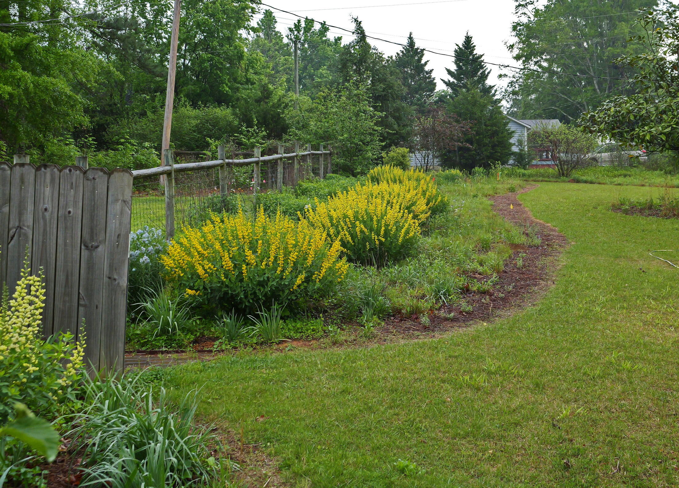 364 John Thompson Road