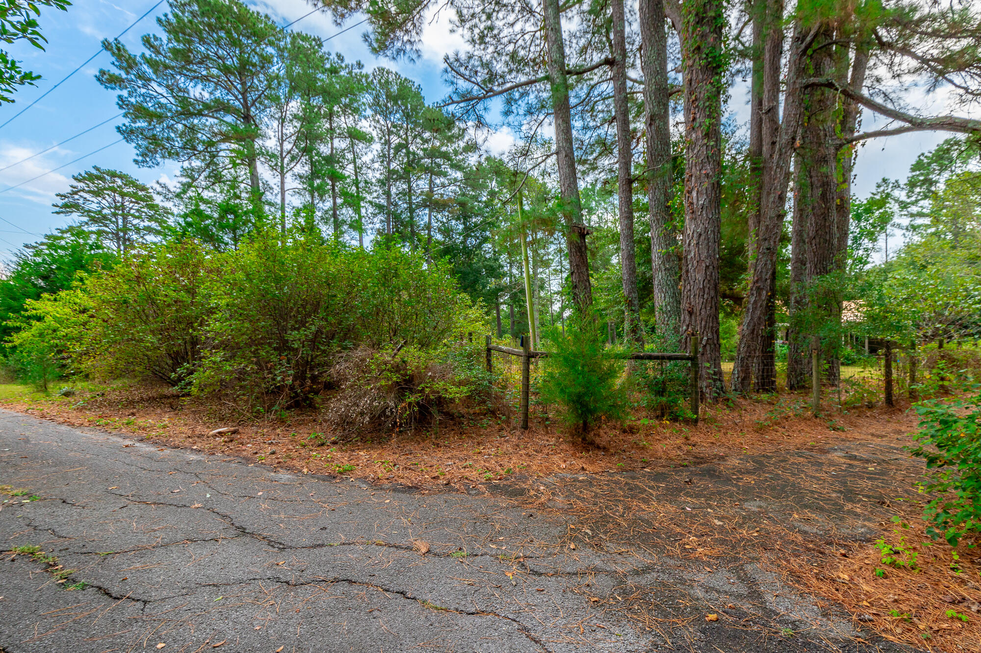 364 John Thompson Road