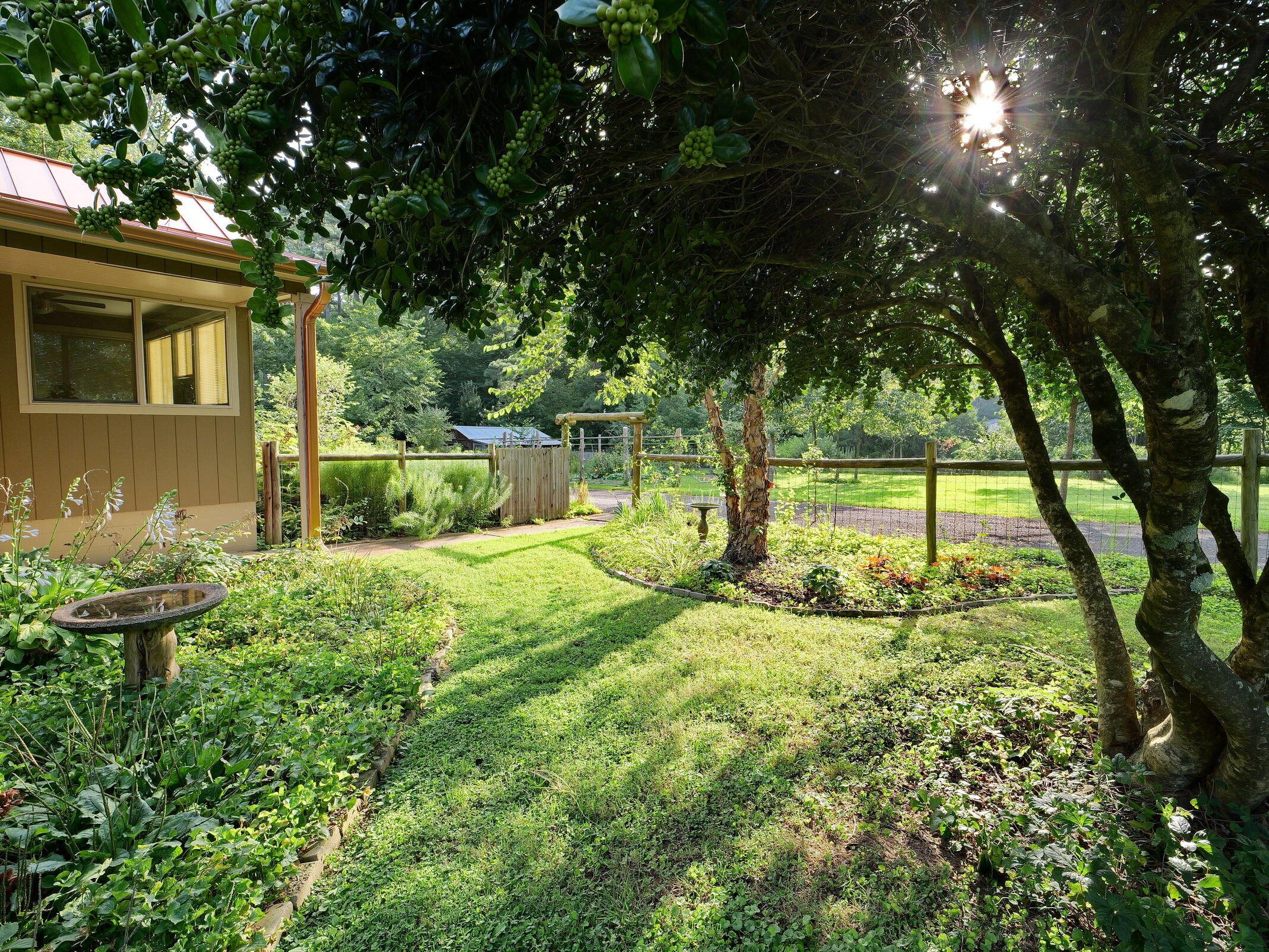364 John Thompson Road