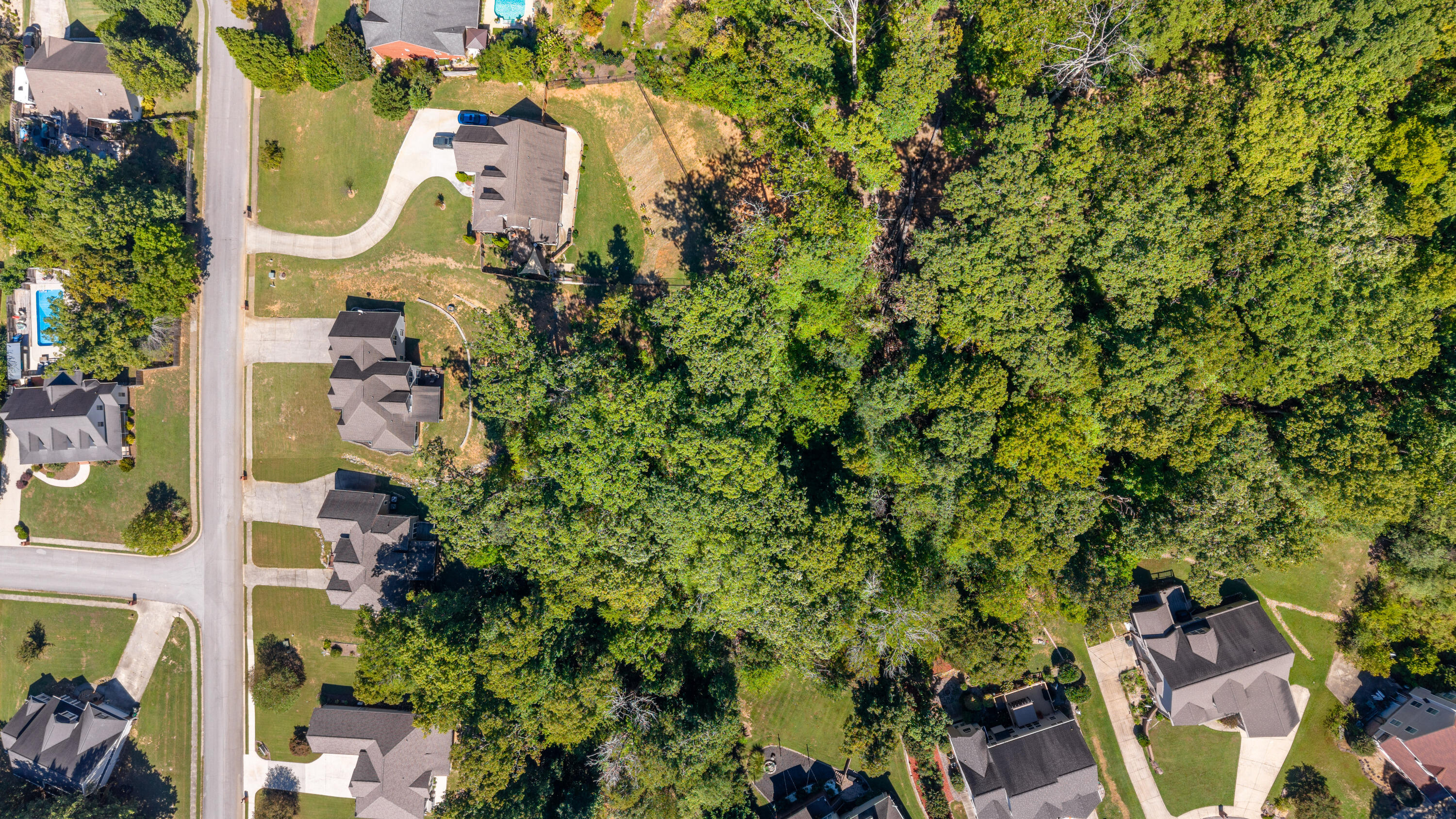 461 Autumn Trail
