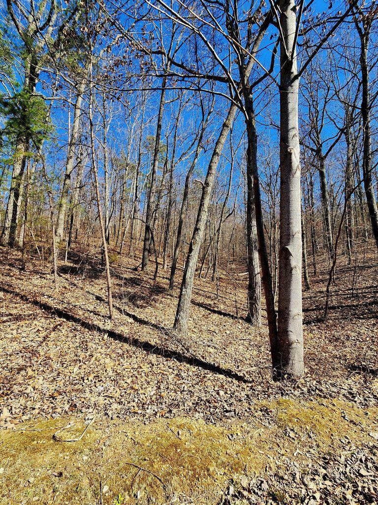 0 Northwoods Lane, 15
