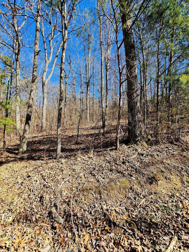 0 Northwoods Lane, 15