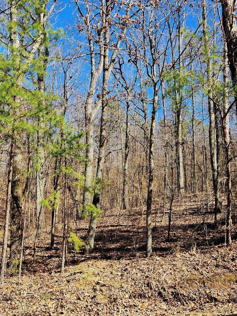 0 Northwoods Lane, 15