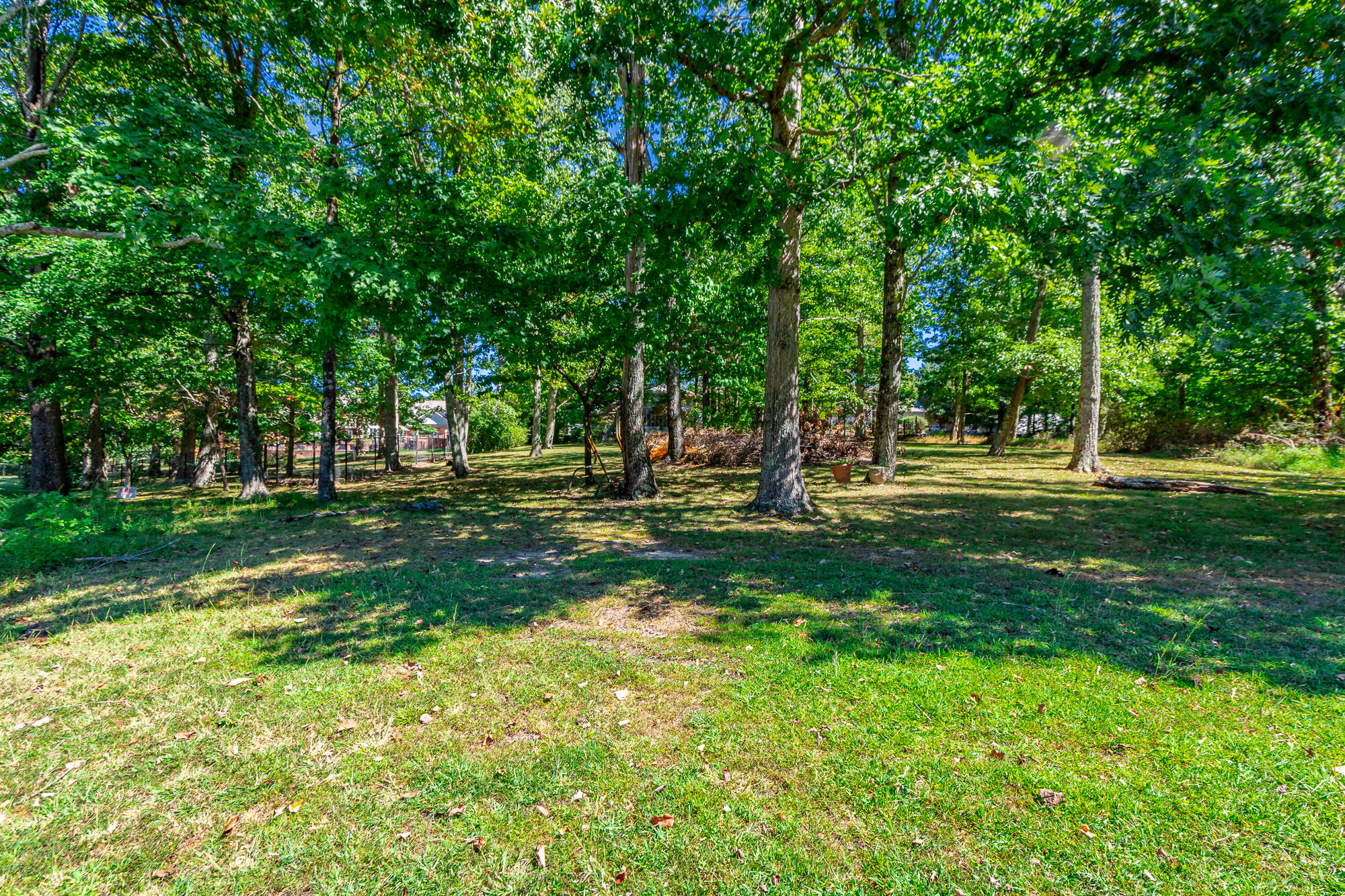 9013 Brow Lake Road