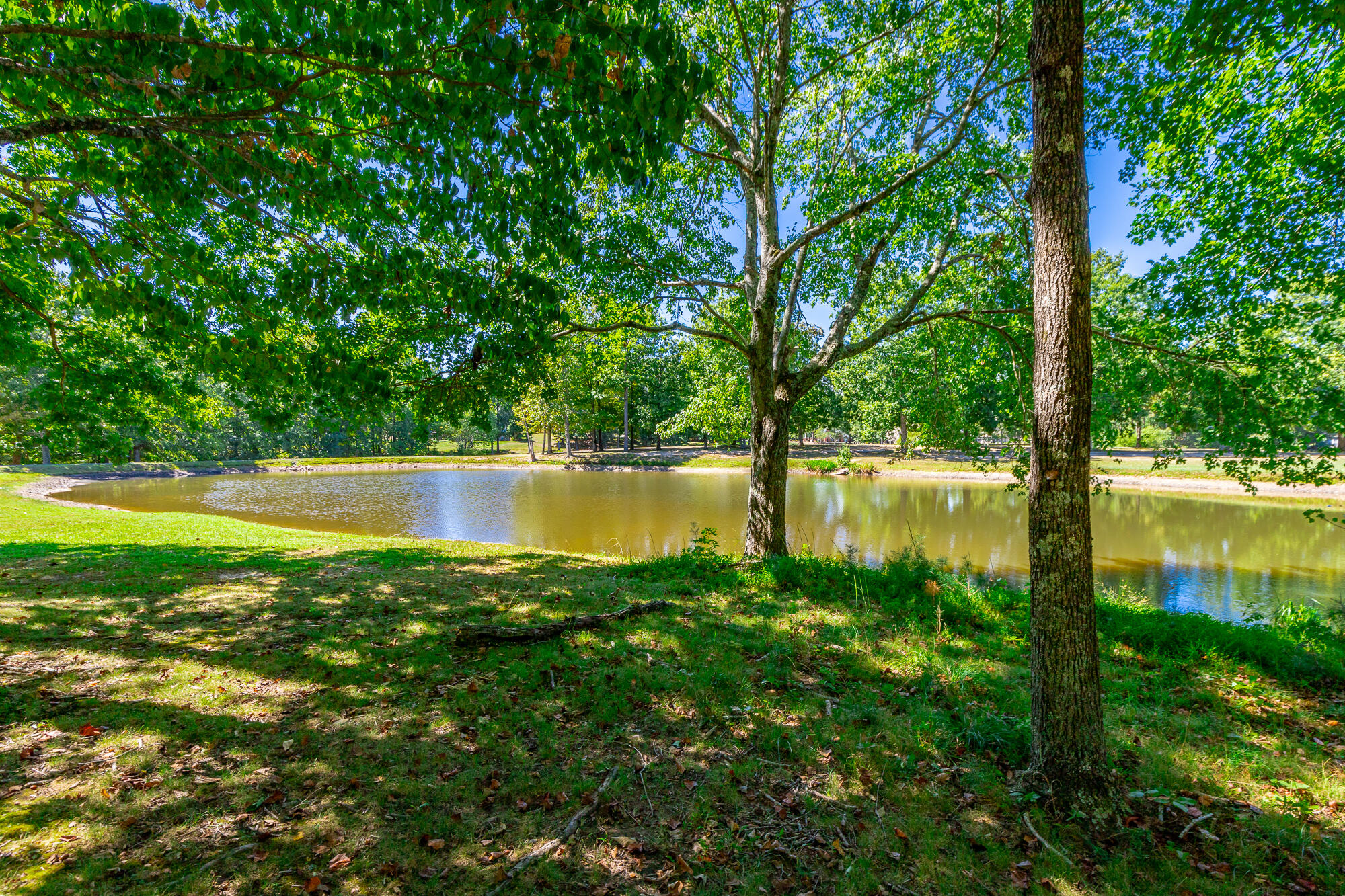 9013 Brow Lake Road