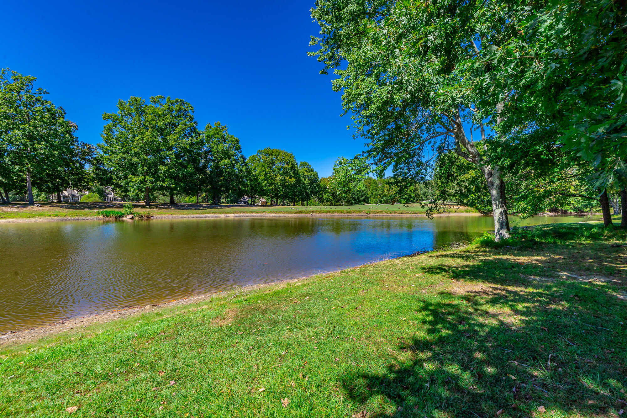 9013 Brow Lake Road