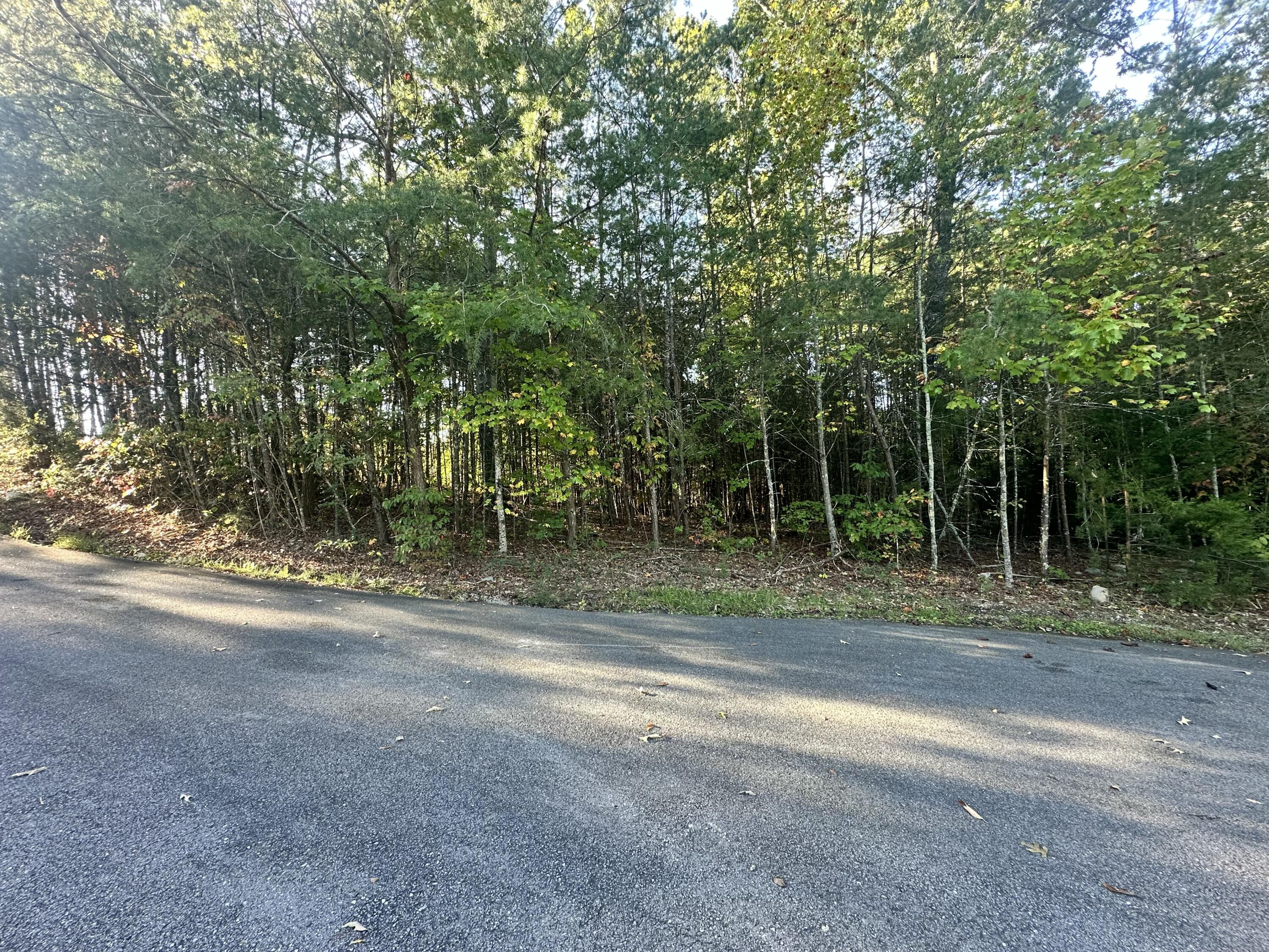 391 Windy Ridge Drive
