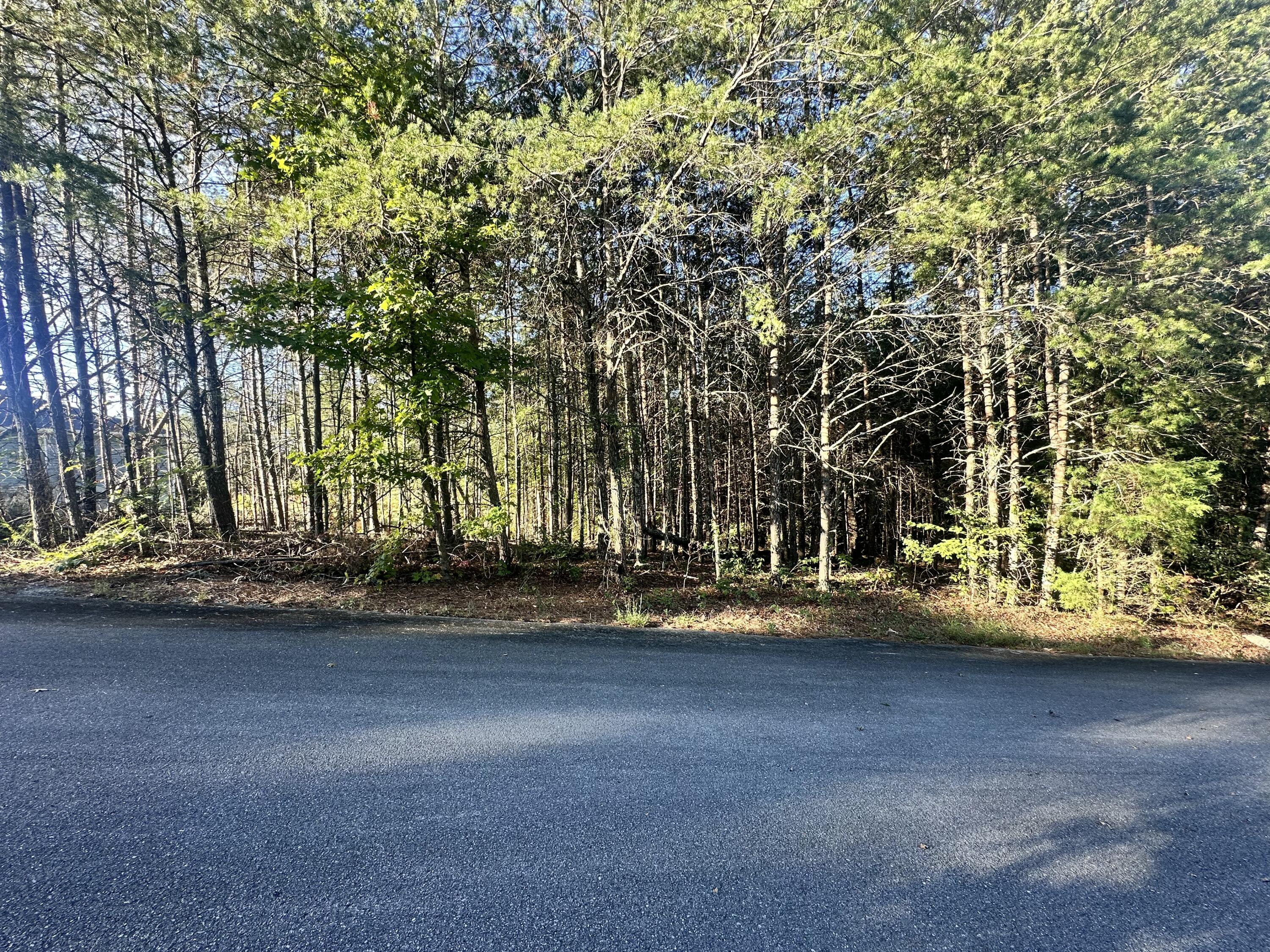 391 Windy Ridge Drive