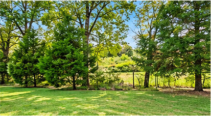 318 Battle Bluff Drive