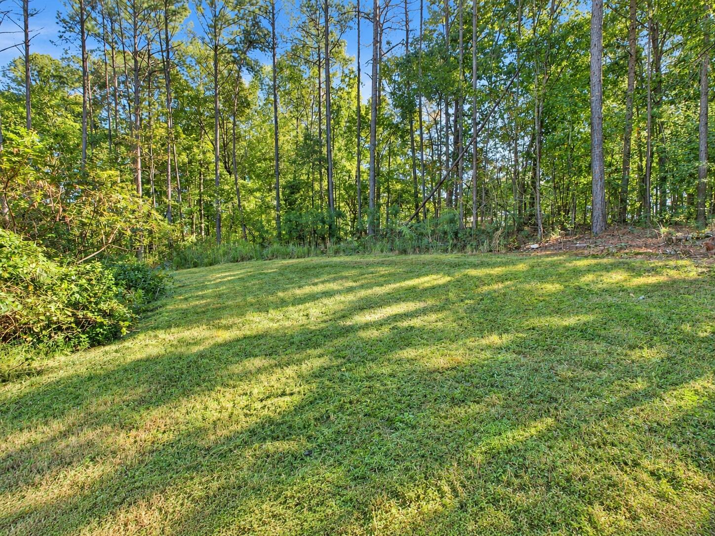 3580 Colston Lane