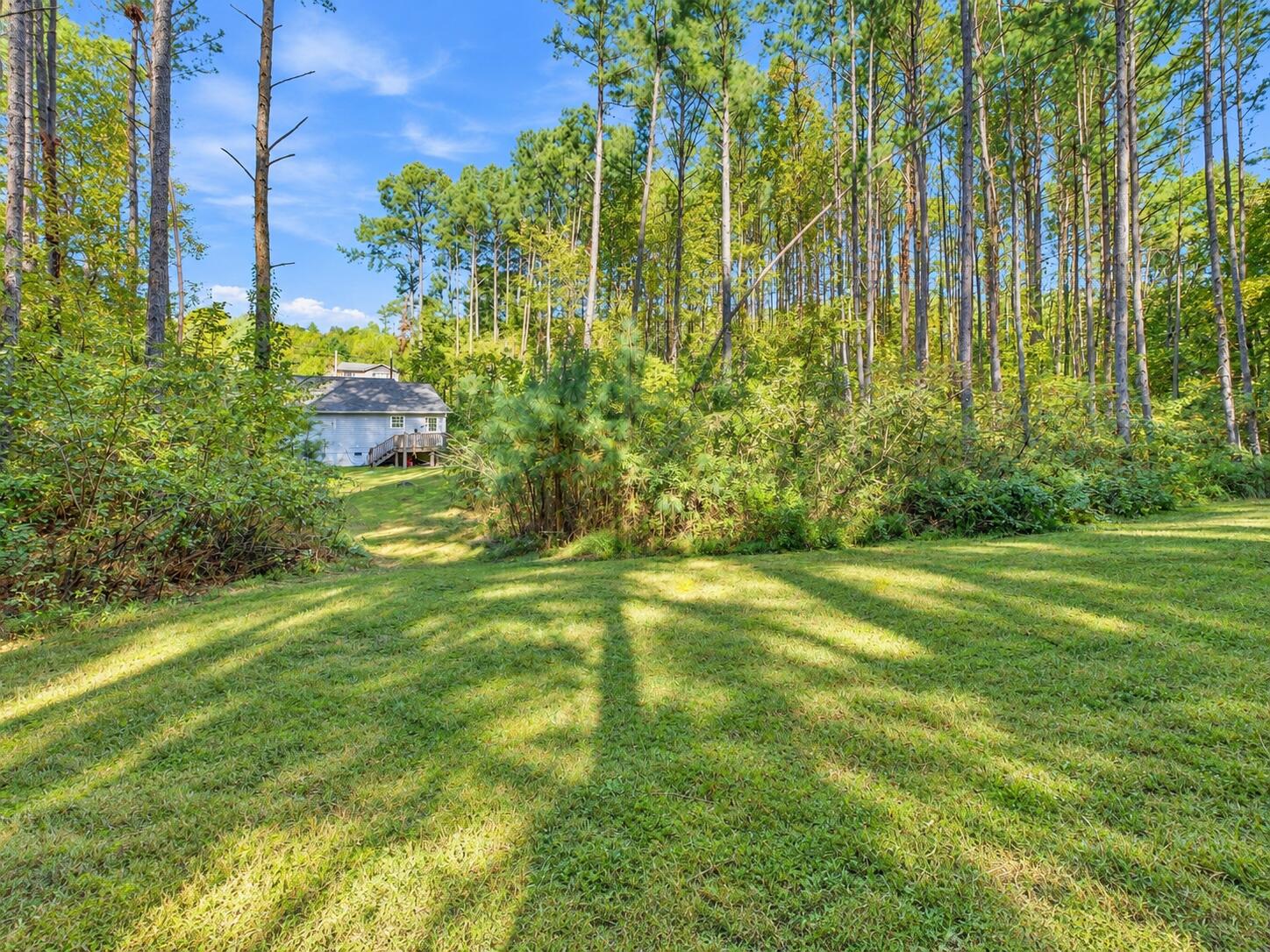 3580 Colston Lane