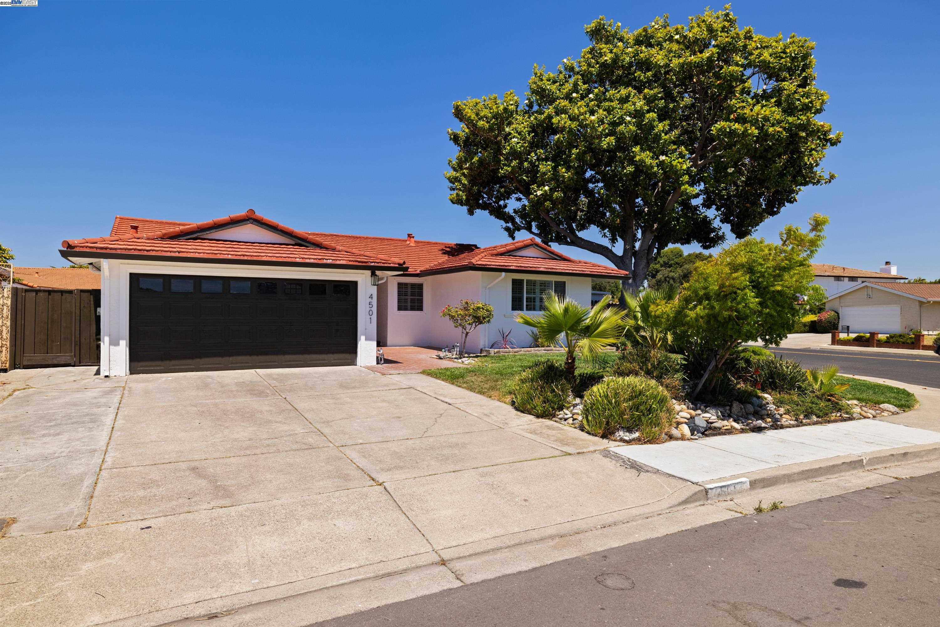 4501 Alice Way
