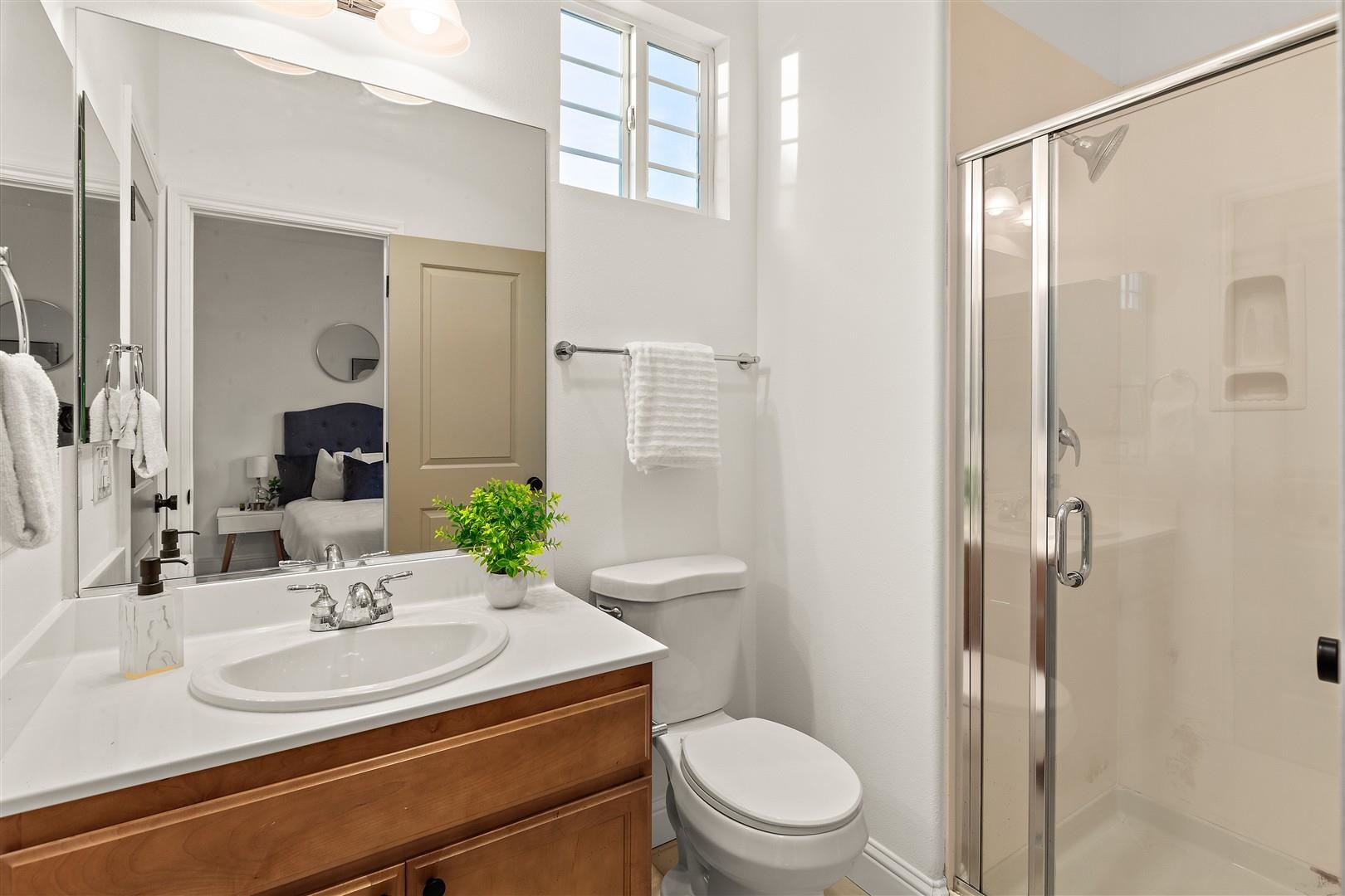 40203 Antigua Rose Ter