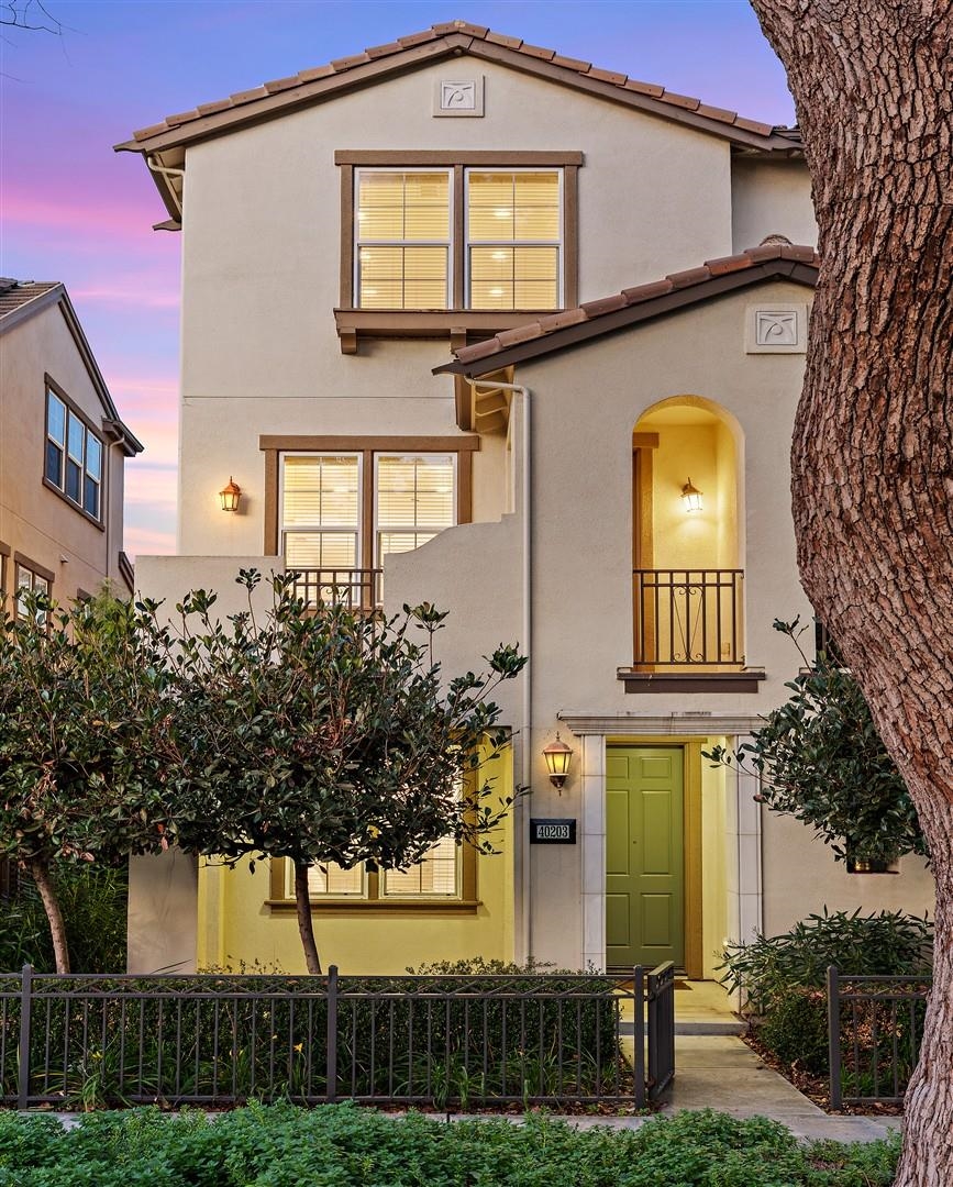 40203 Antigua Rose Ter