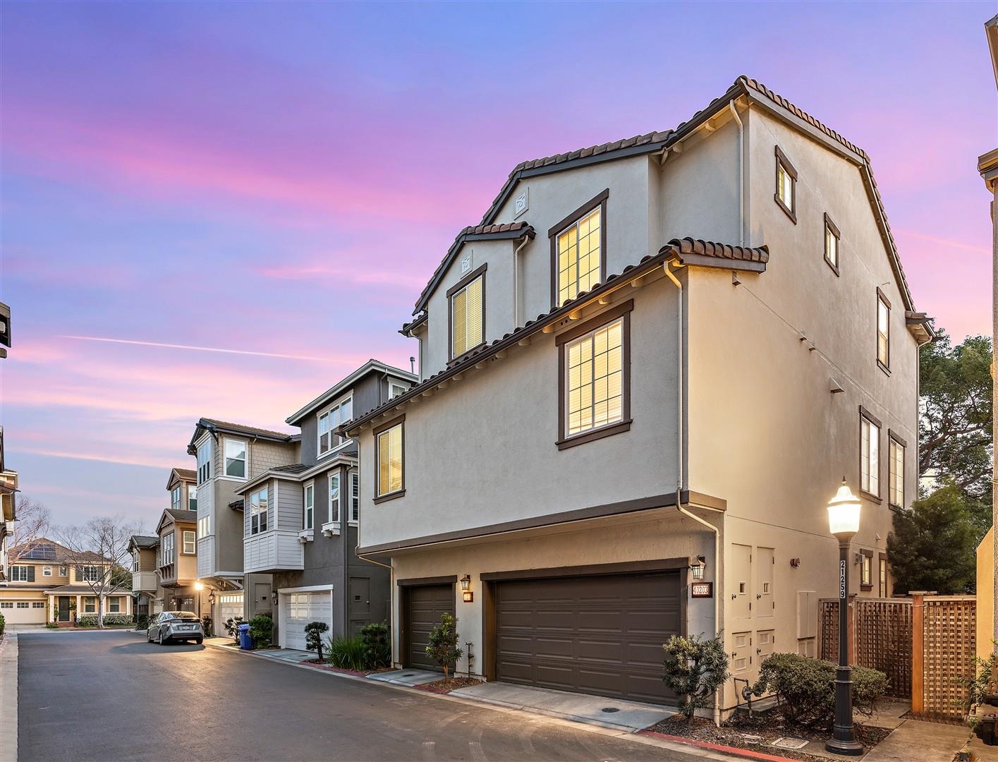 40203 Antigua Rose Ter