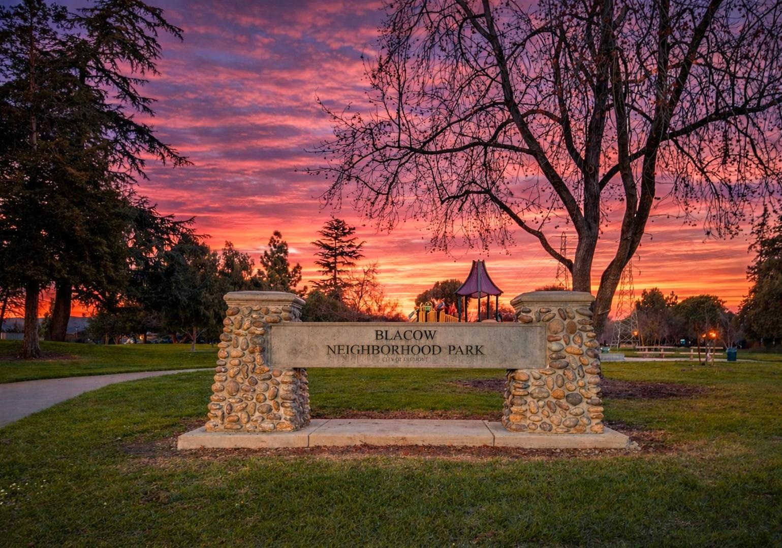 40203 Antigua Rose Ter