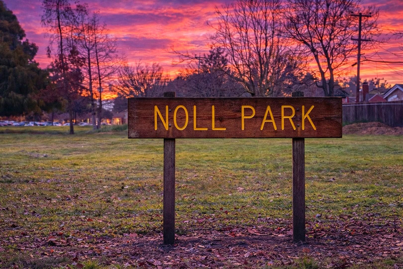 40203 Antigua Rose Ter