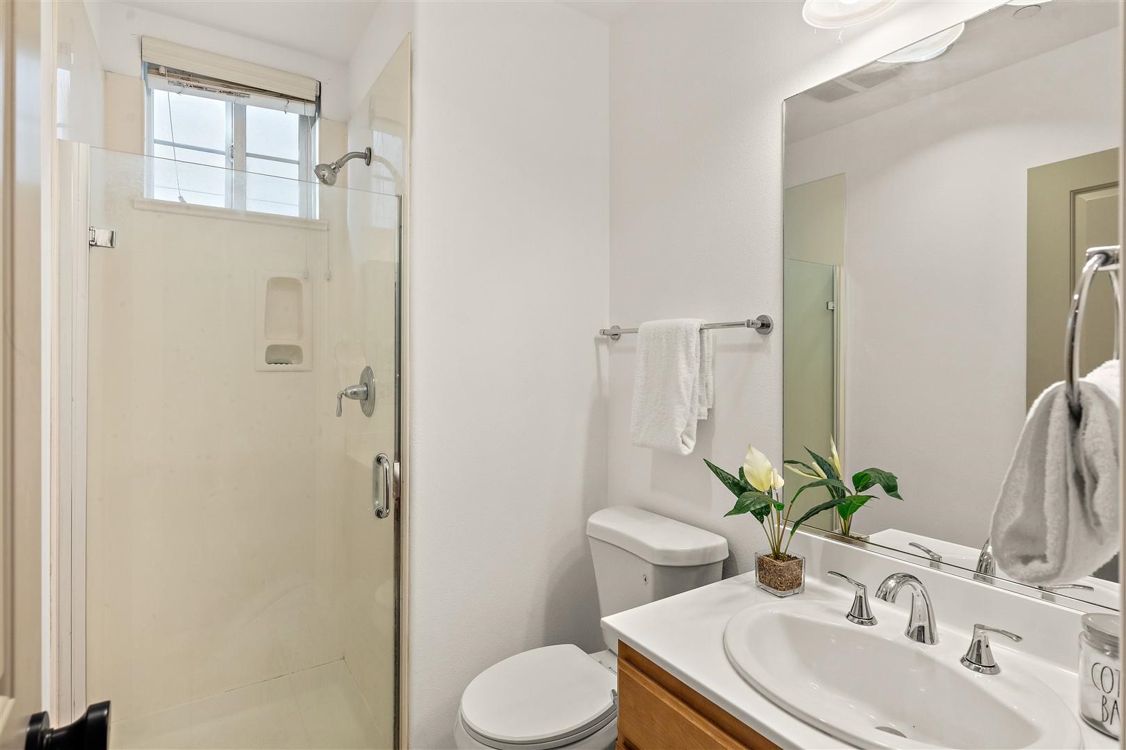 40203 Antigua Rose Ter