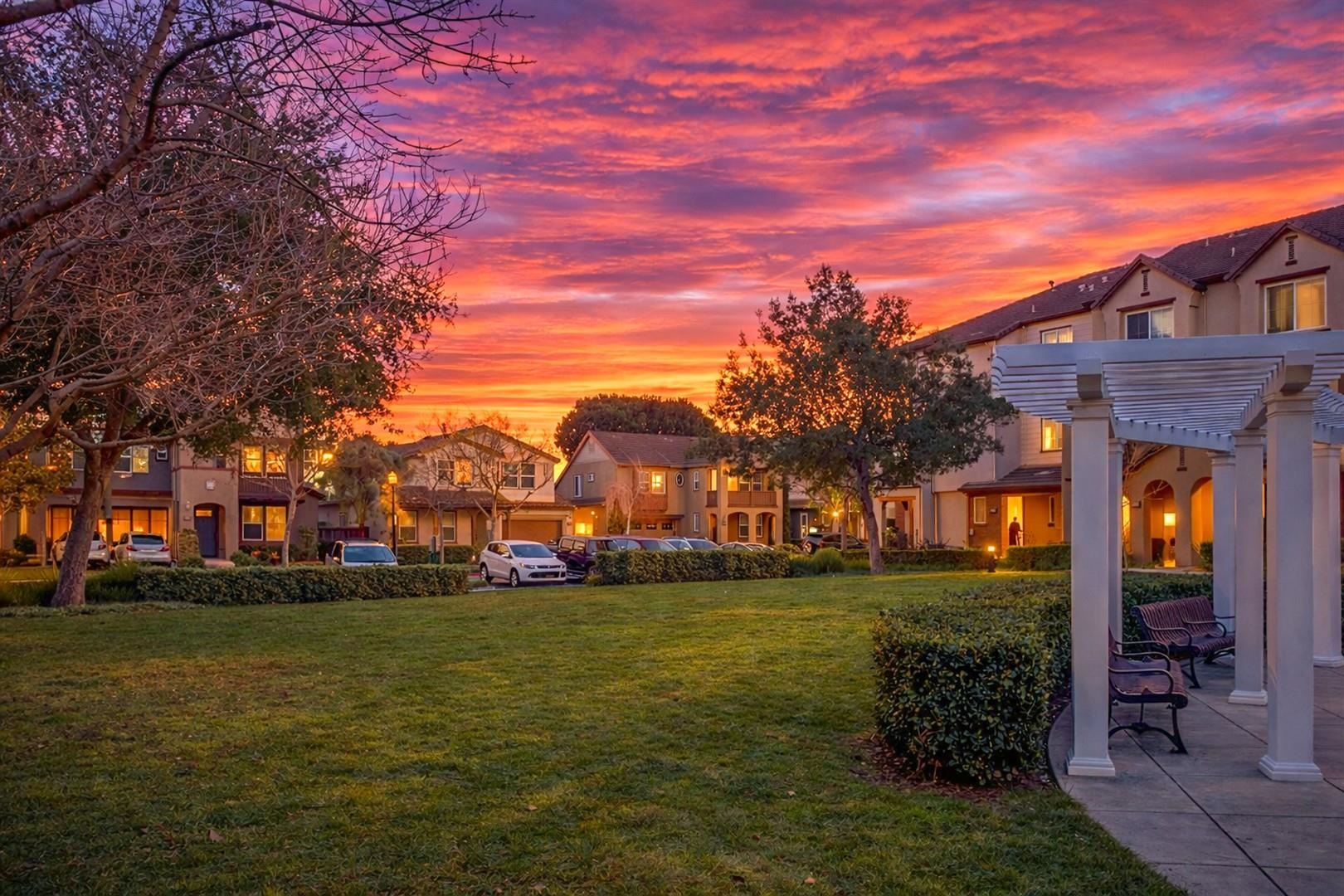 40203 Antigua Rose Ter