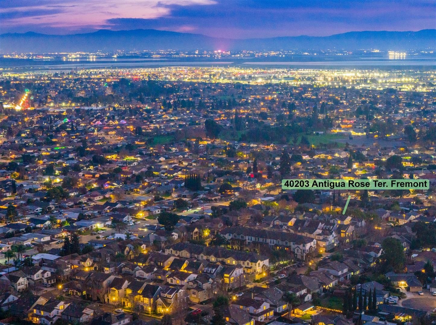 40203 Antigua Rose Ter