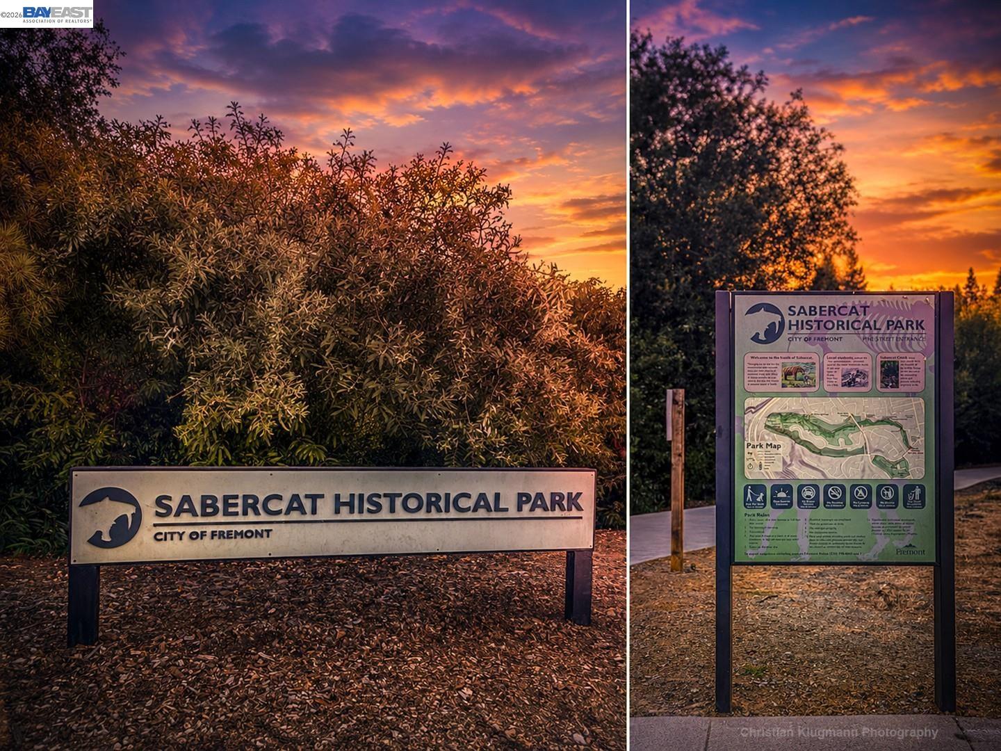 1361 Ocaso Camino