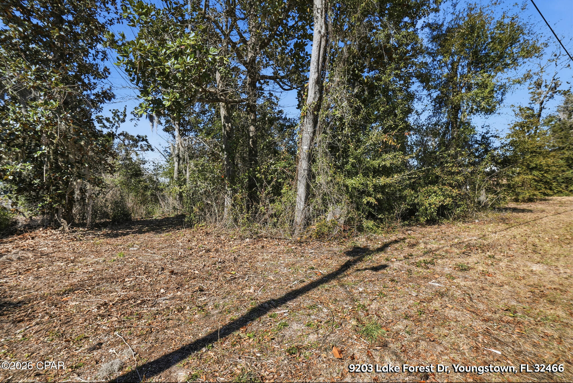 9203 Lake Forest Drive