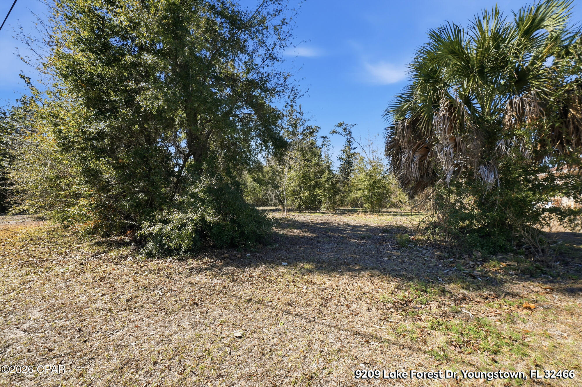 9209 Lake Forest Drive