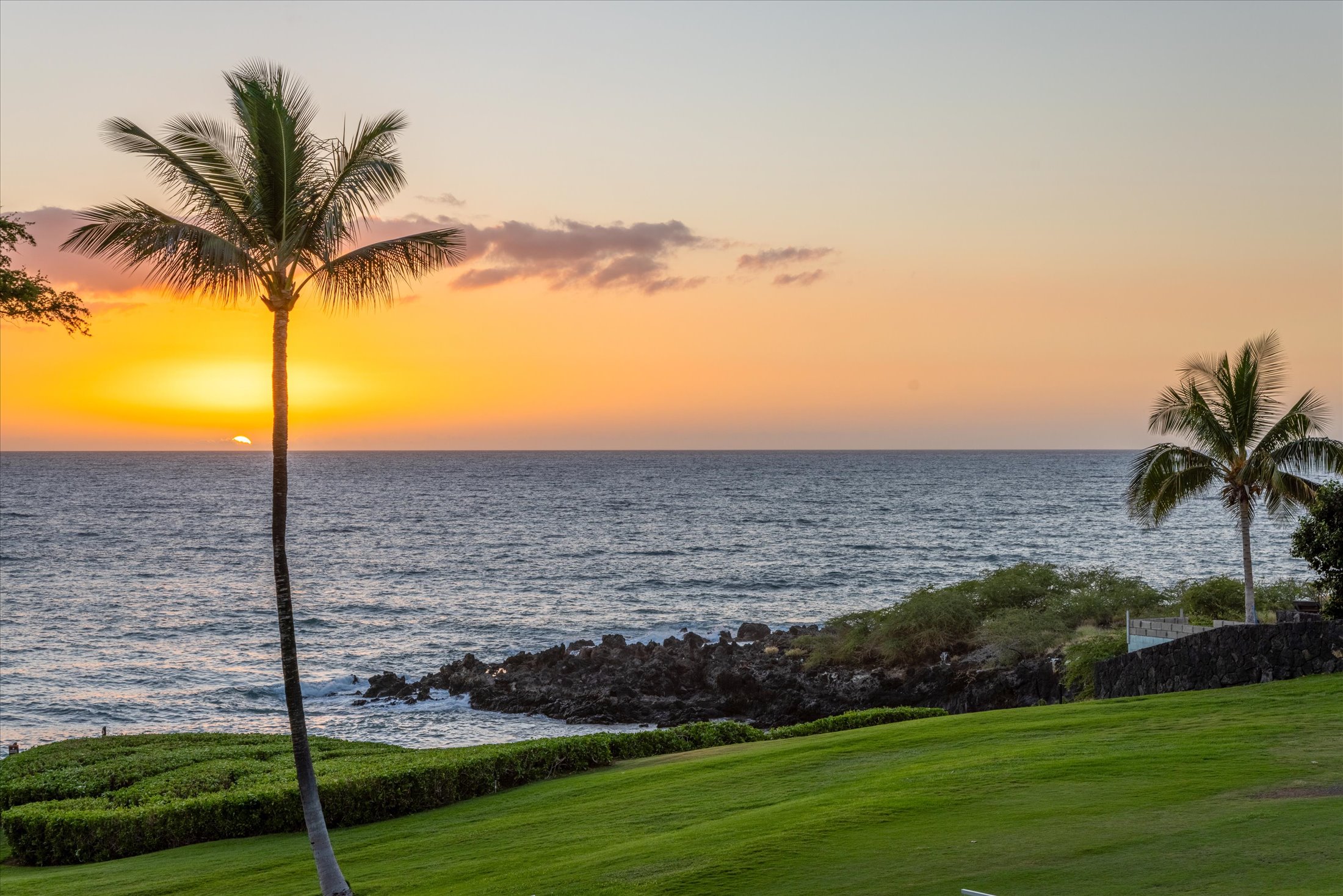 66-84 KAUNAOA DR C32