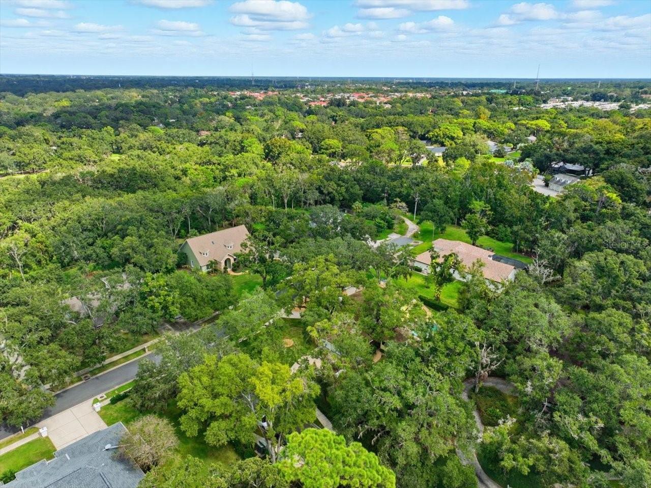 2035 INDIAN CREEK CT