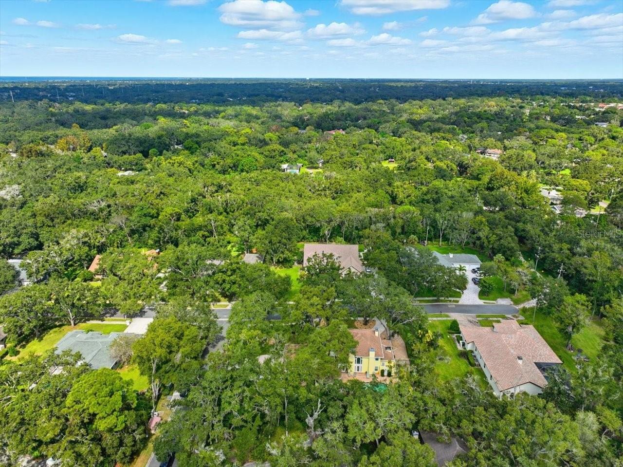 2035 INDIAN CREEK CT