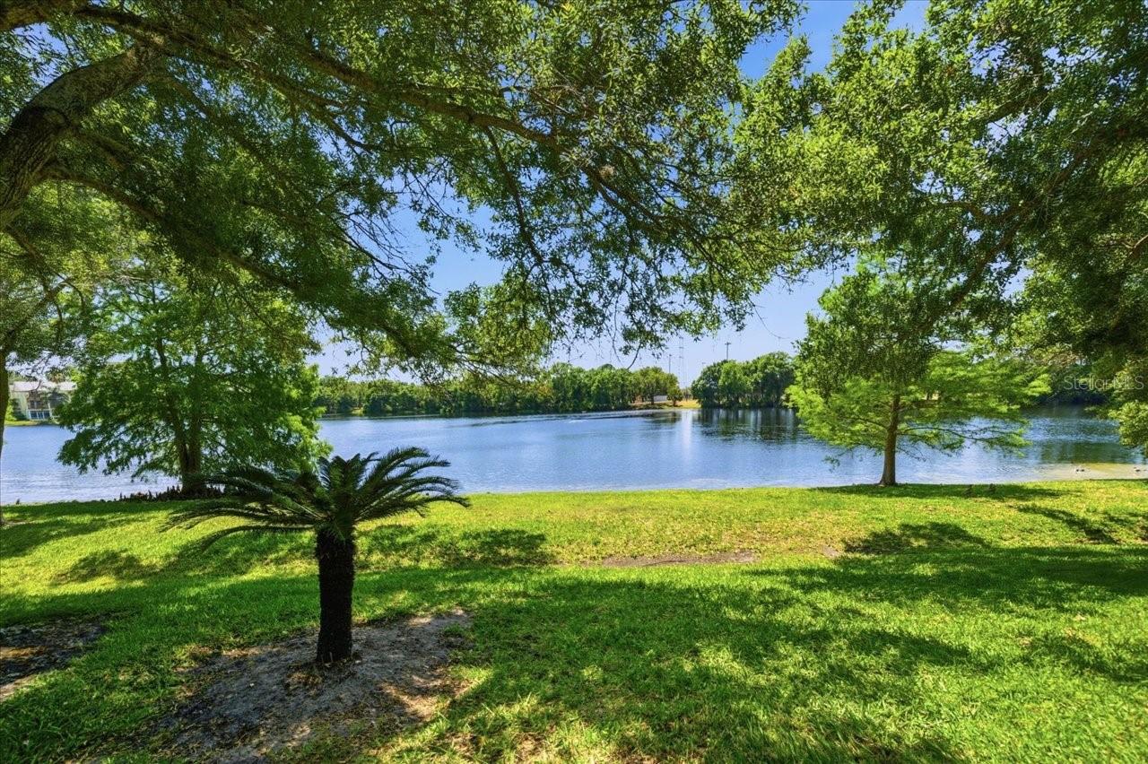 2824 COUNTRYSIDE BLVD #315