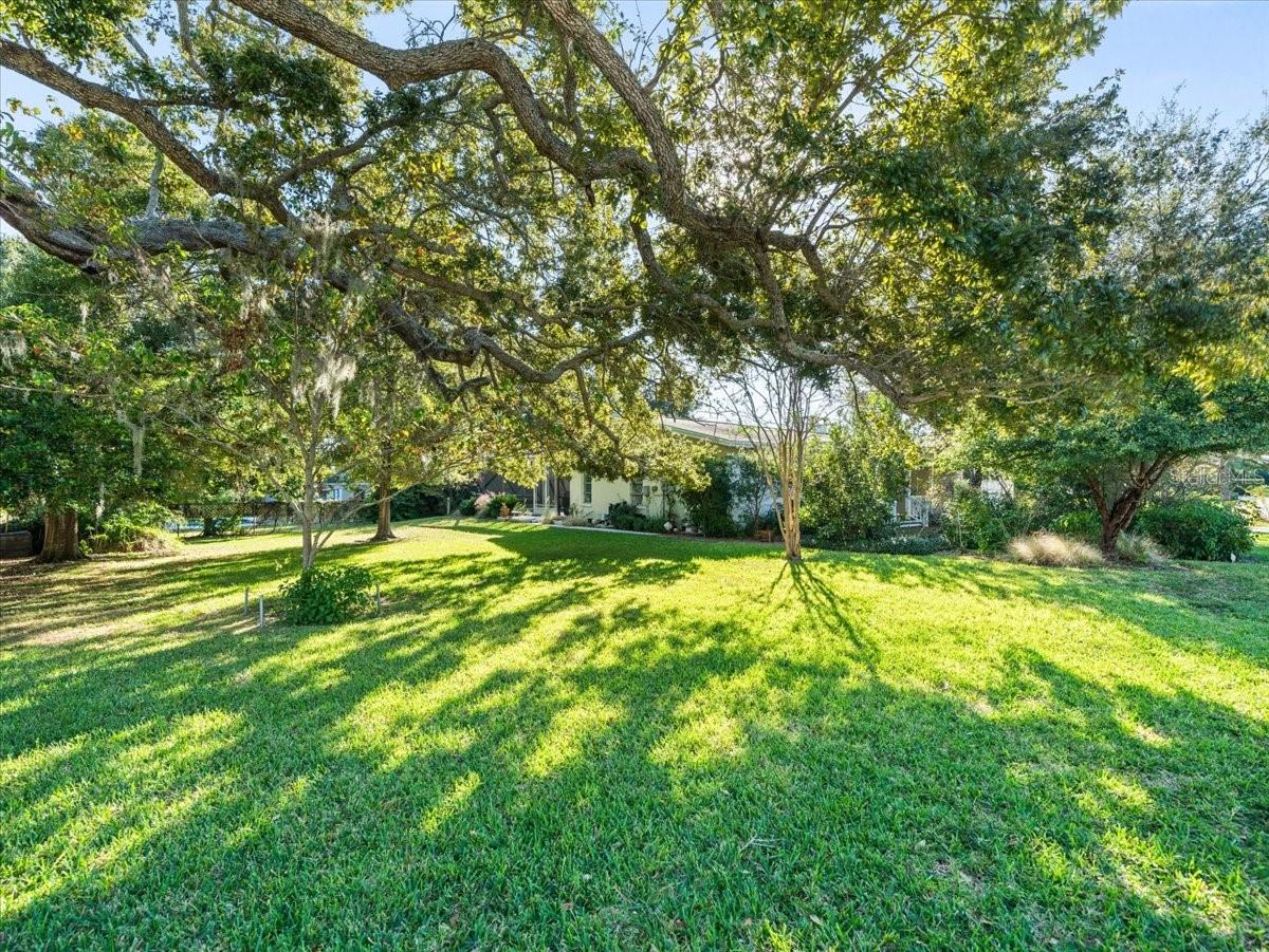 1665 MAGNOLIA DRIVE