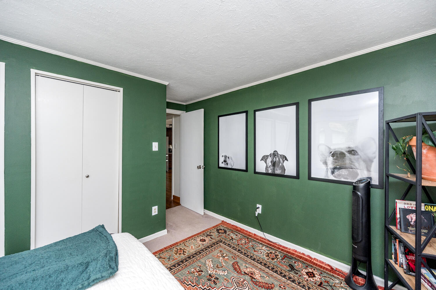 308 Sleepy Hollow DR