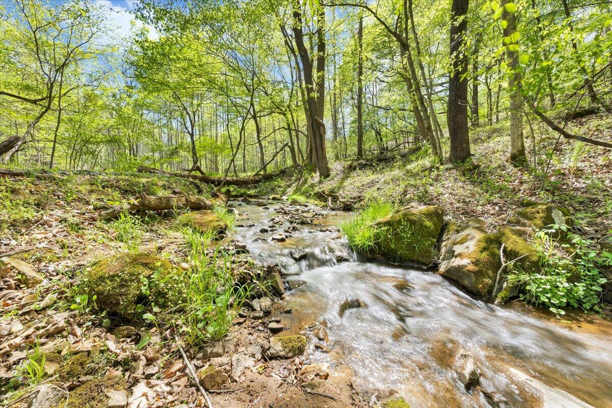 7475 Willow Branch RD