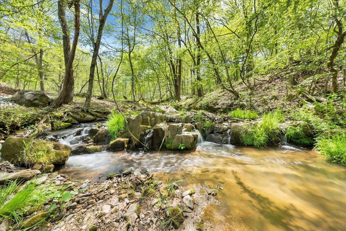 7475 Willow Branch RD