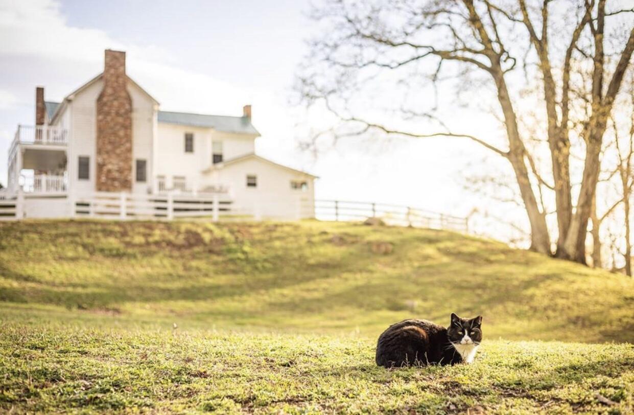 2148 Mountain View RD