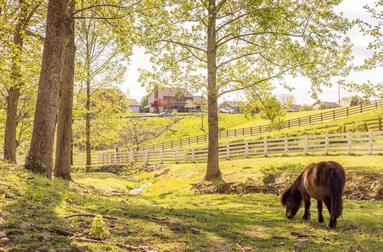 2148 Mountain View RD