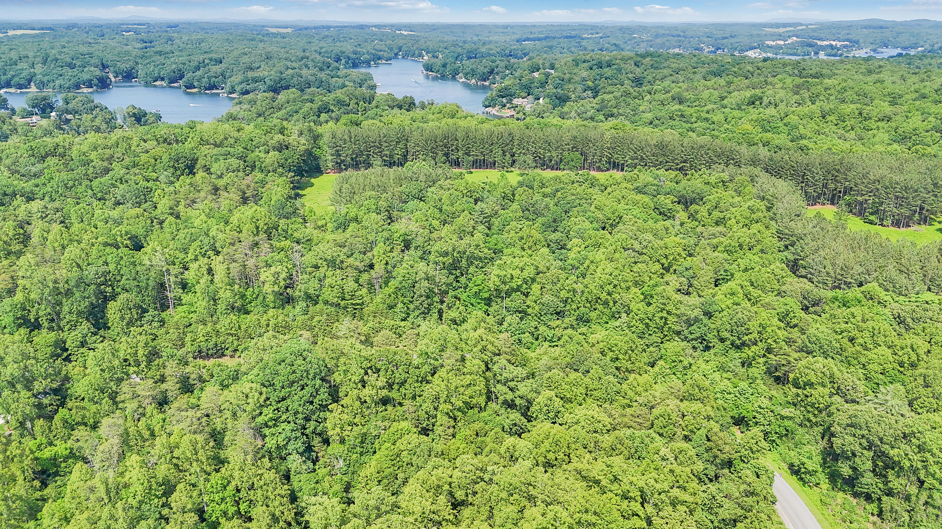 Lot 12 Watchtower DR