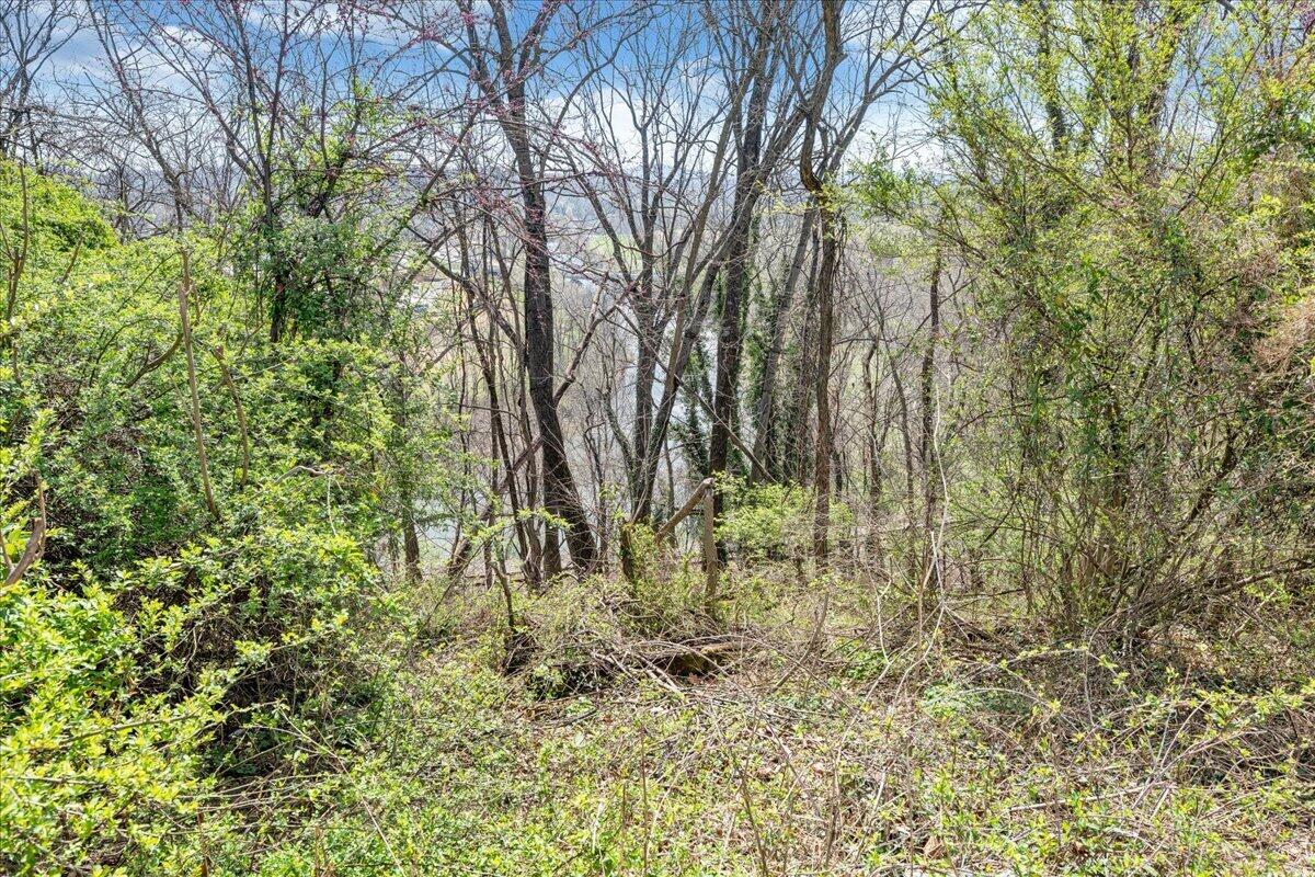 1433 Gladstone AVE SE