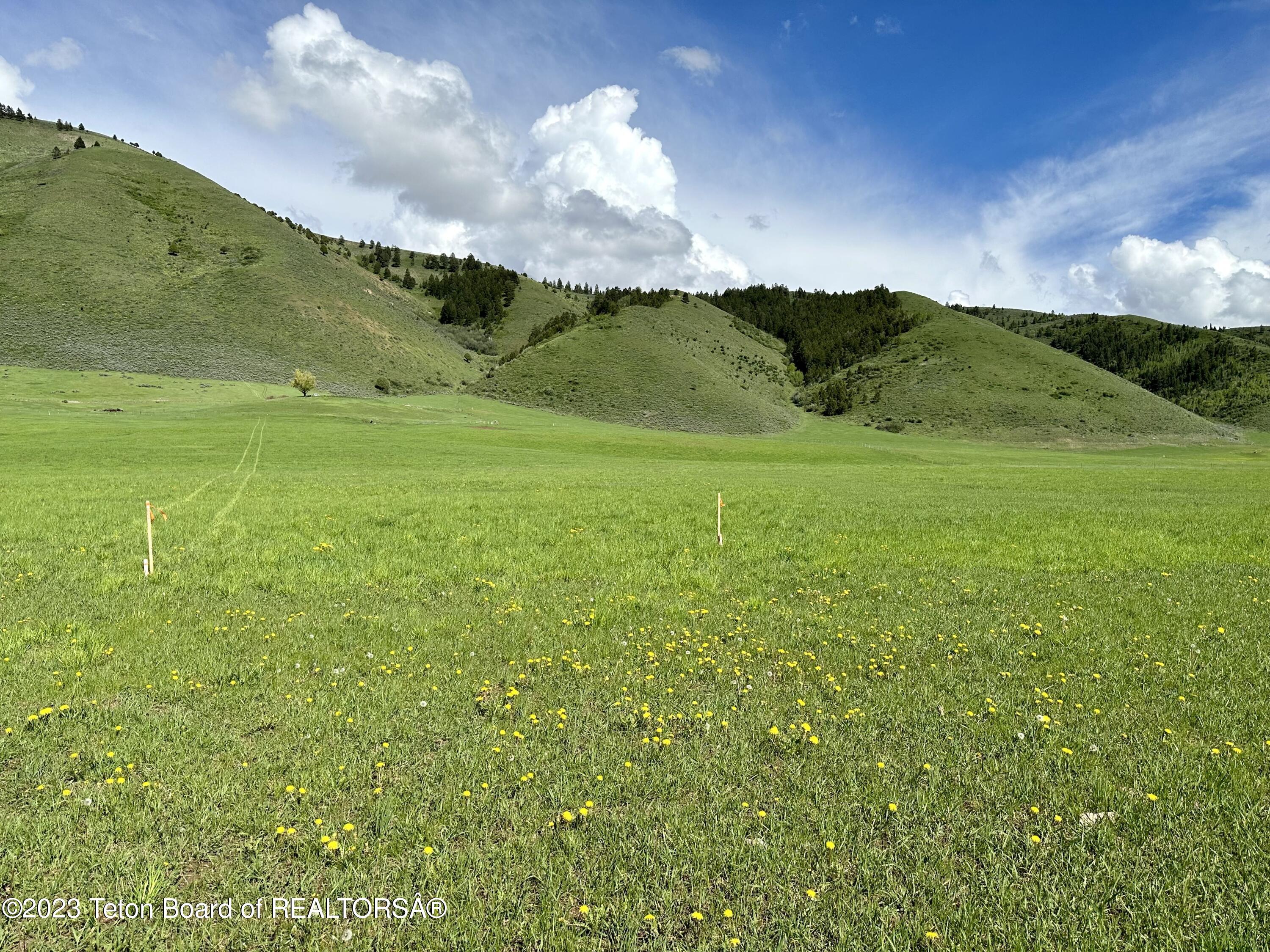 LOT 2 WILD ROSE ESTATES