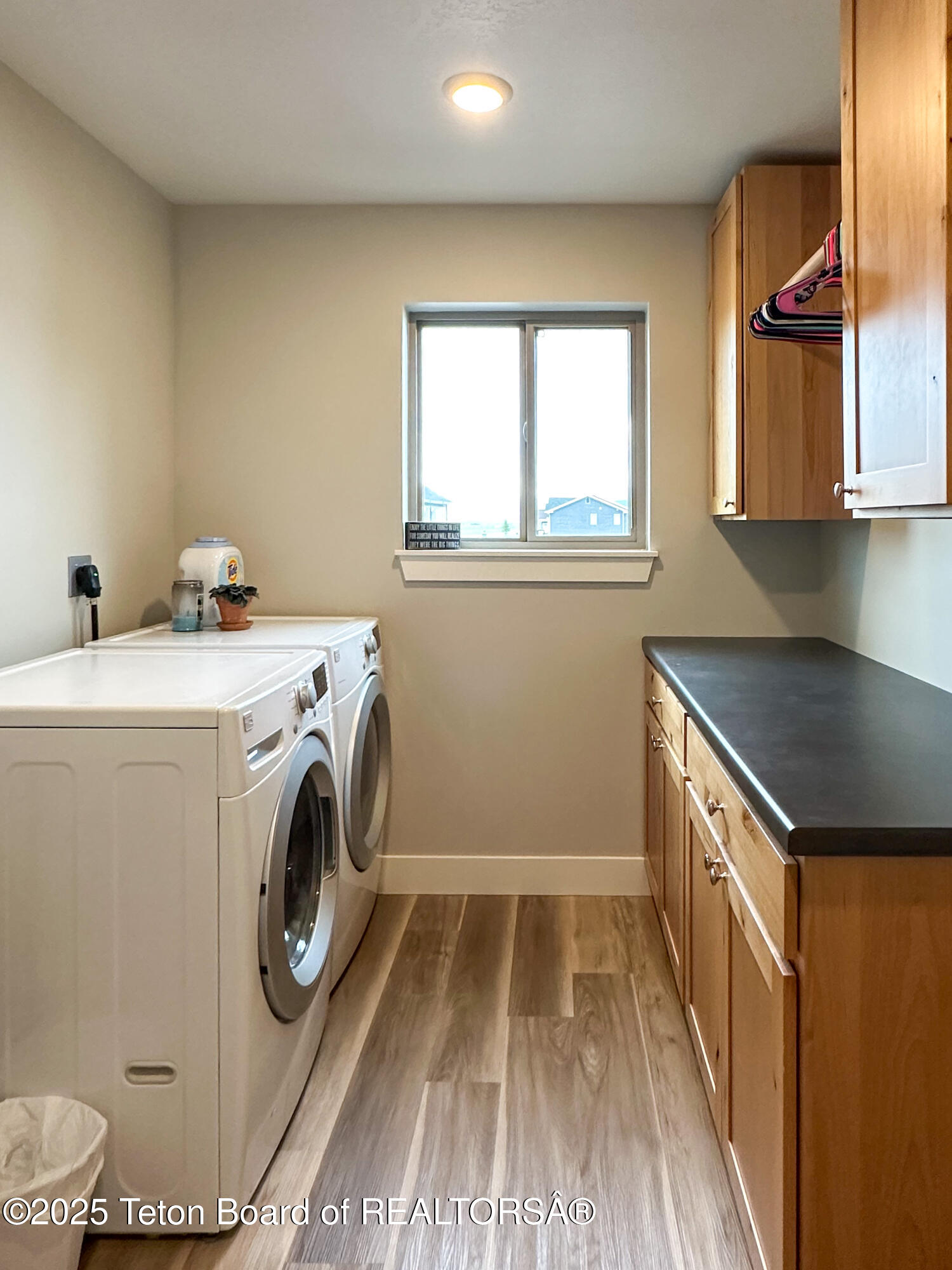 45 LITTLE GREYS LOOP