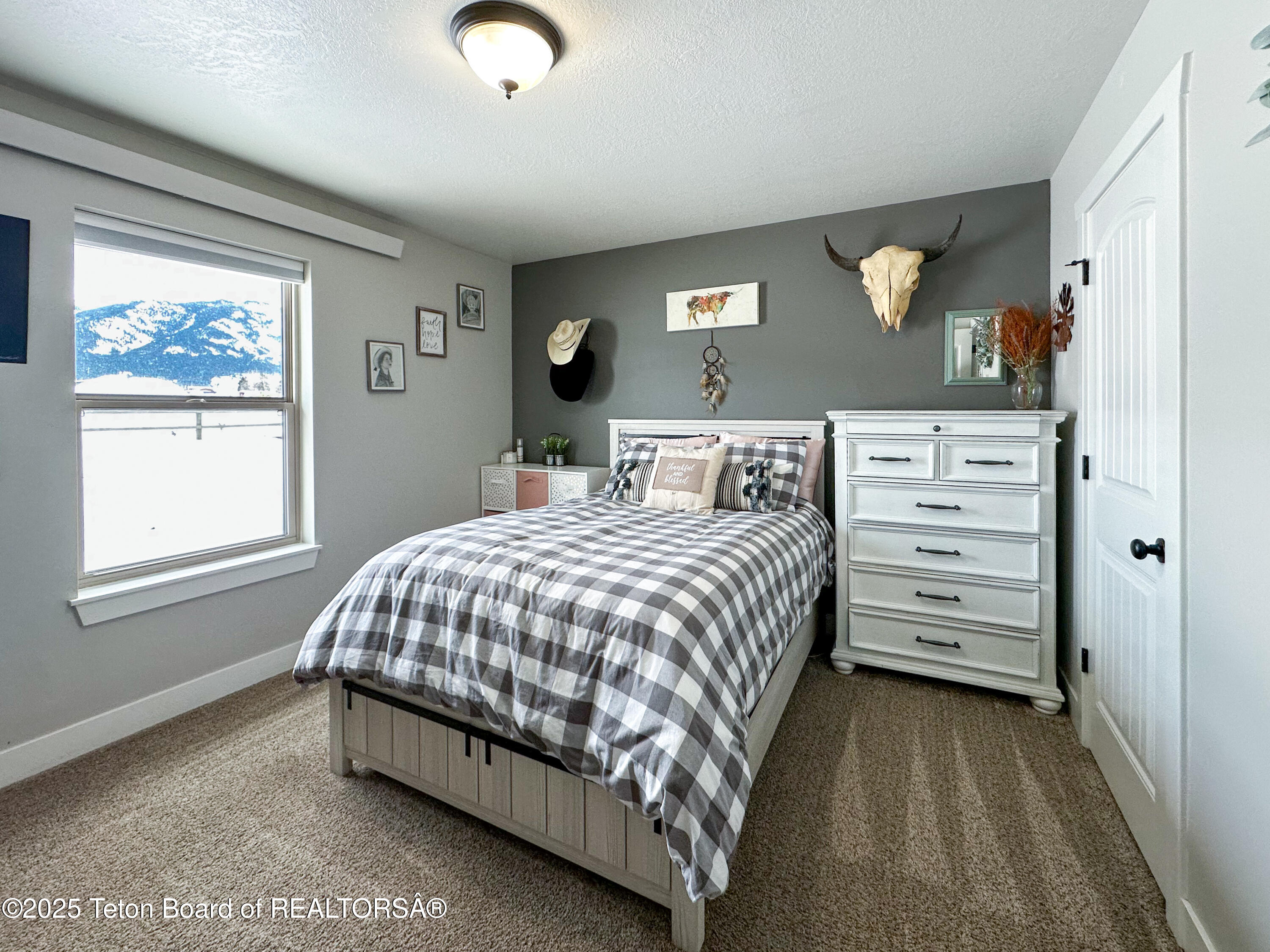 45 LITTLE GREYS LOOP