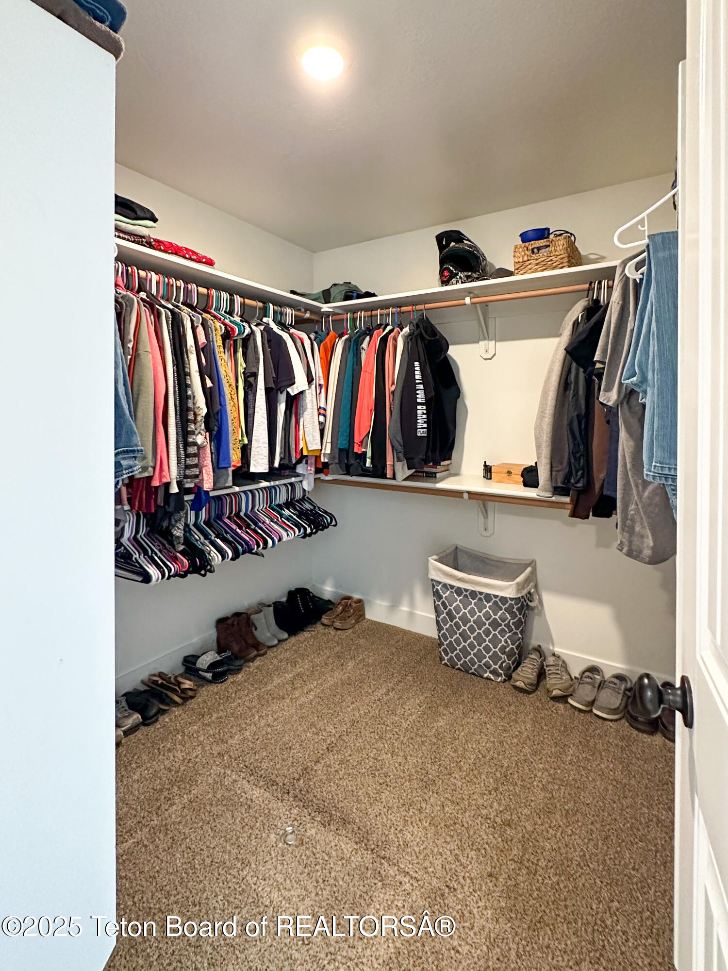 45 LITTLE GREYS LOOP