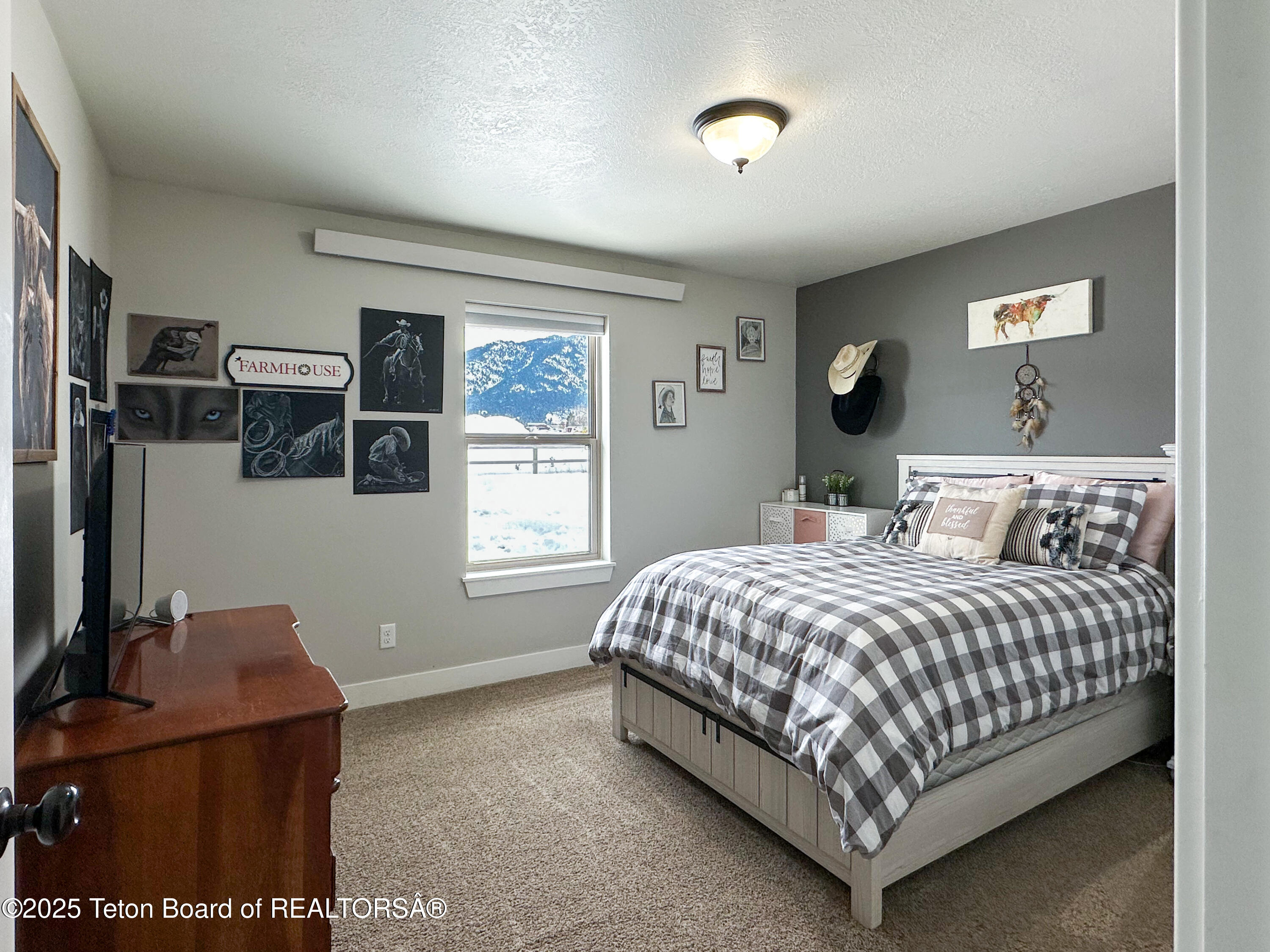 45 LITTLE GREYS LOOP