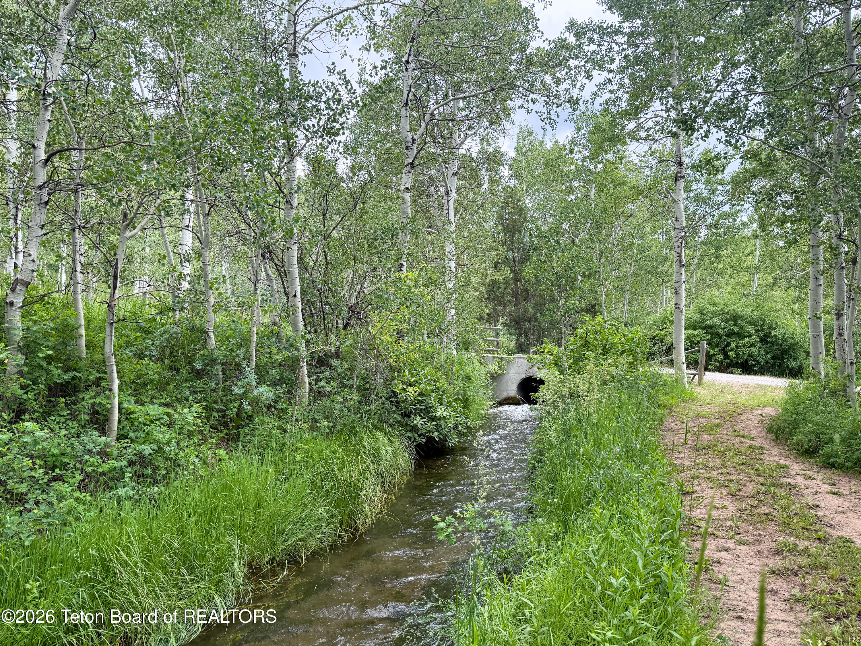 275 WOODLAND Drive