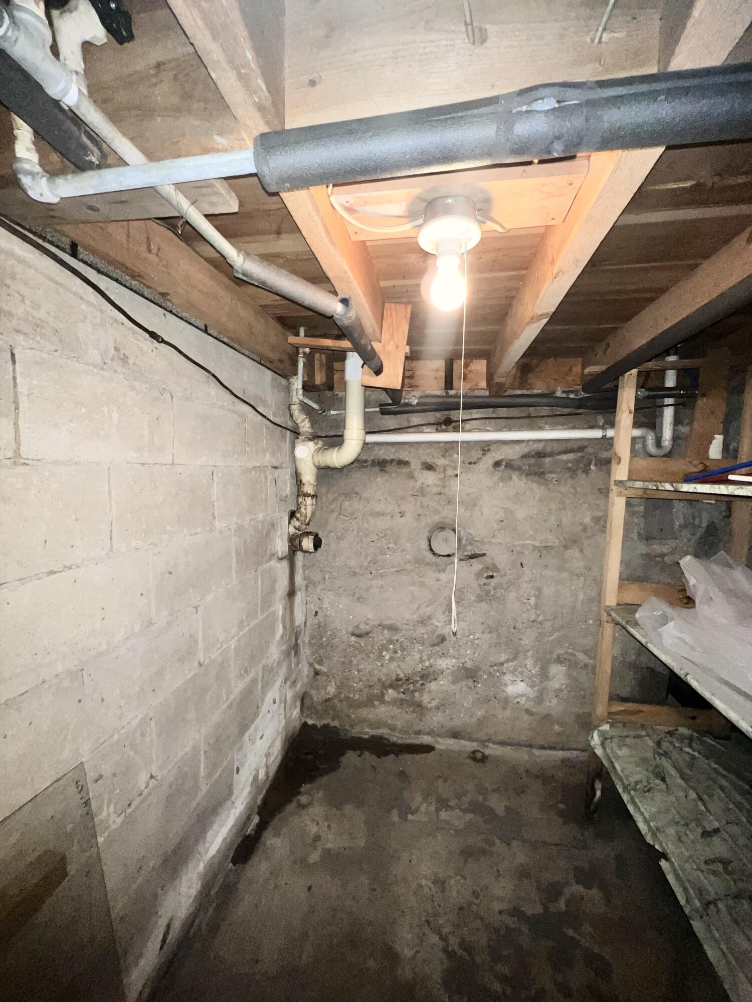 3667 Floody Drive