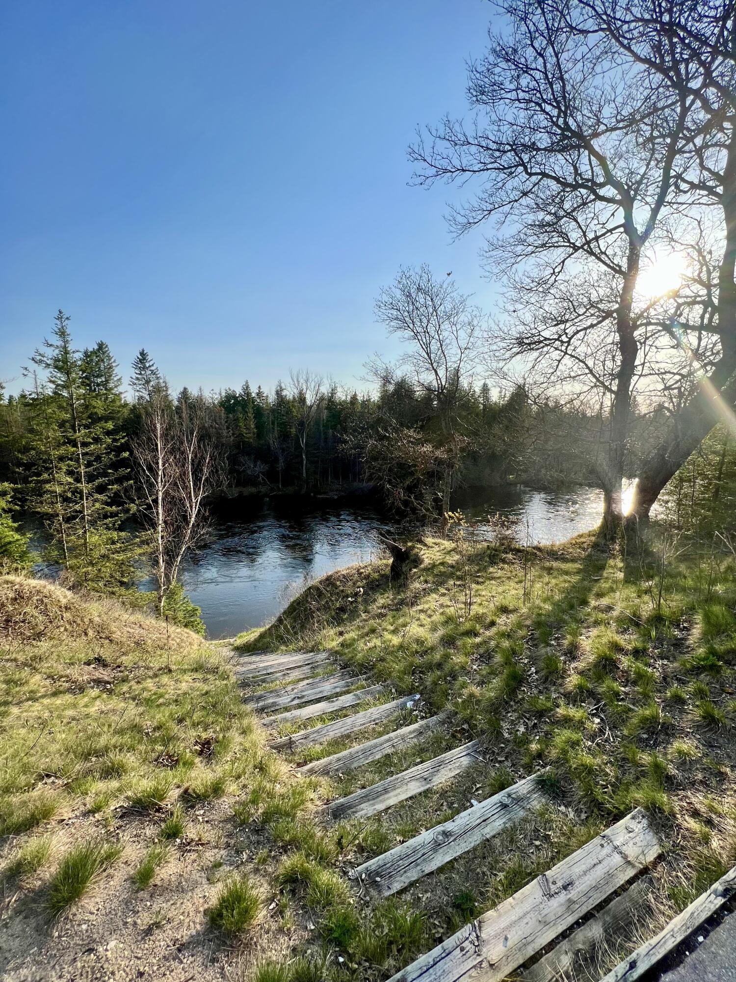 3667 Floody Drive