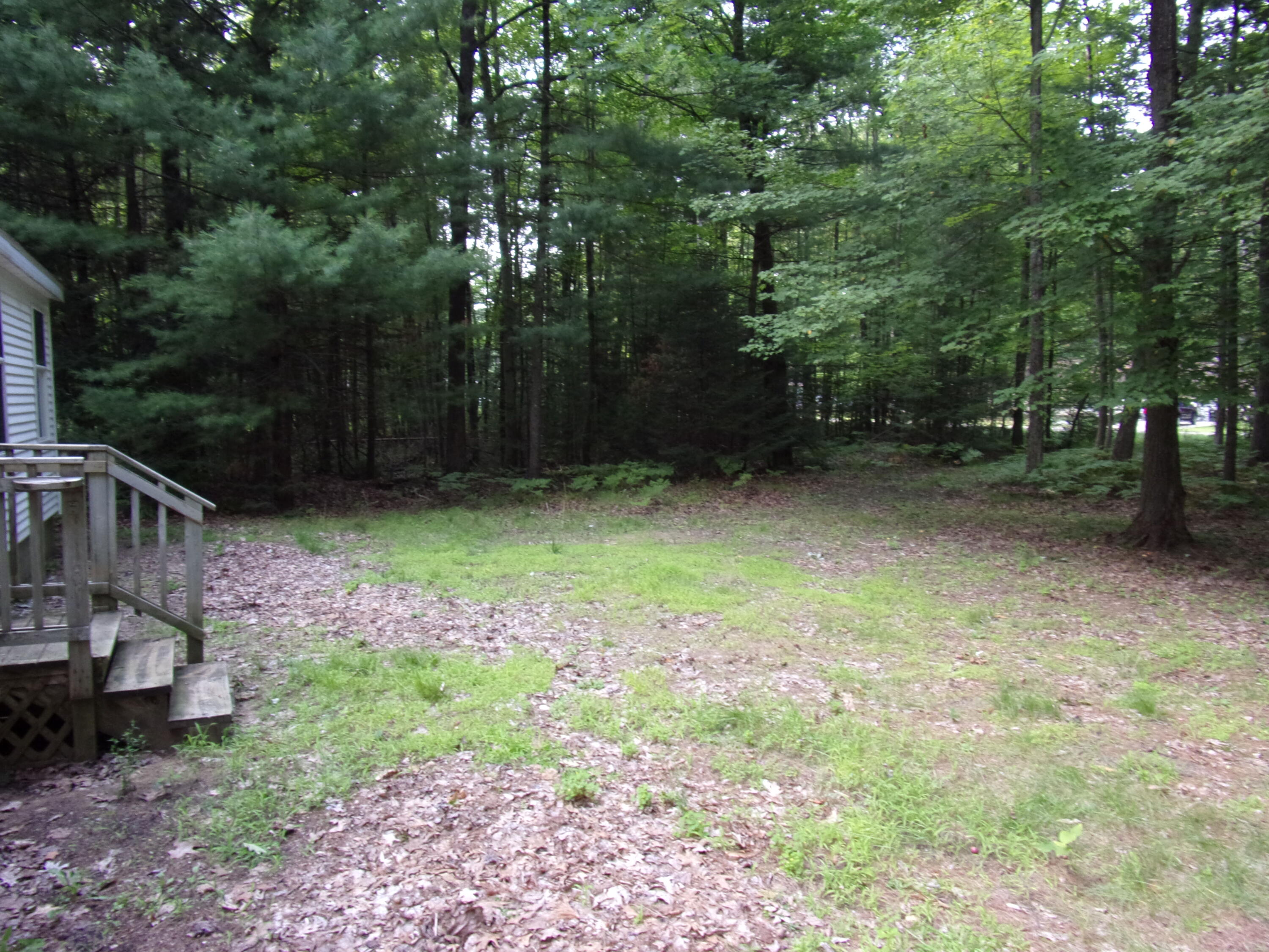 118 Split Hoof Trail