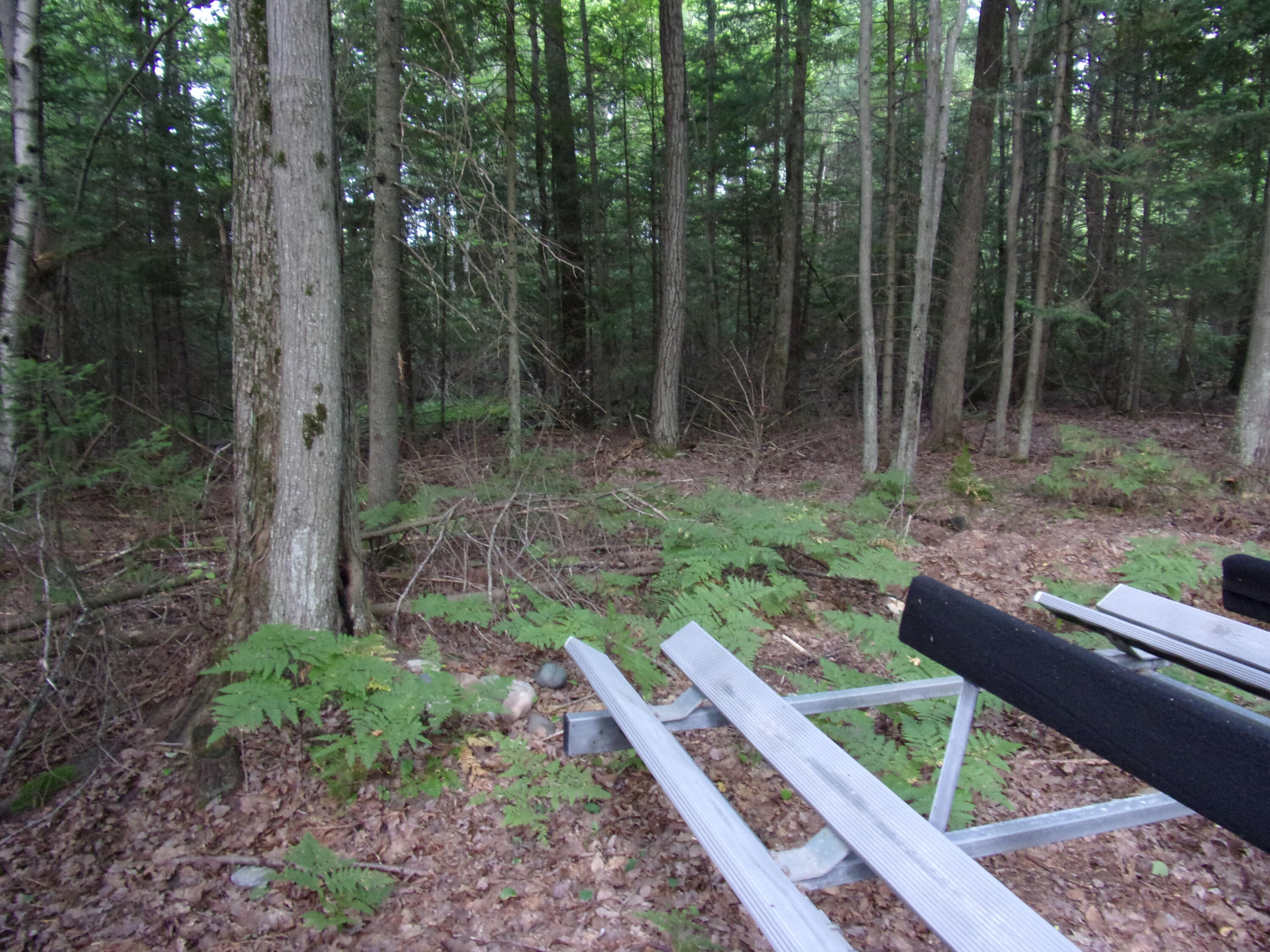 118 Split Hoof Trail